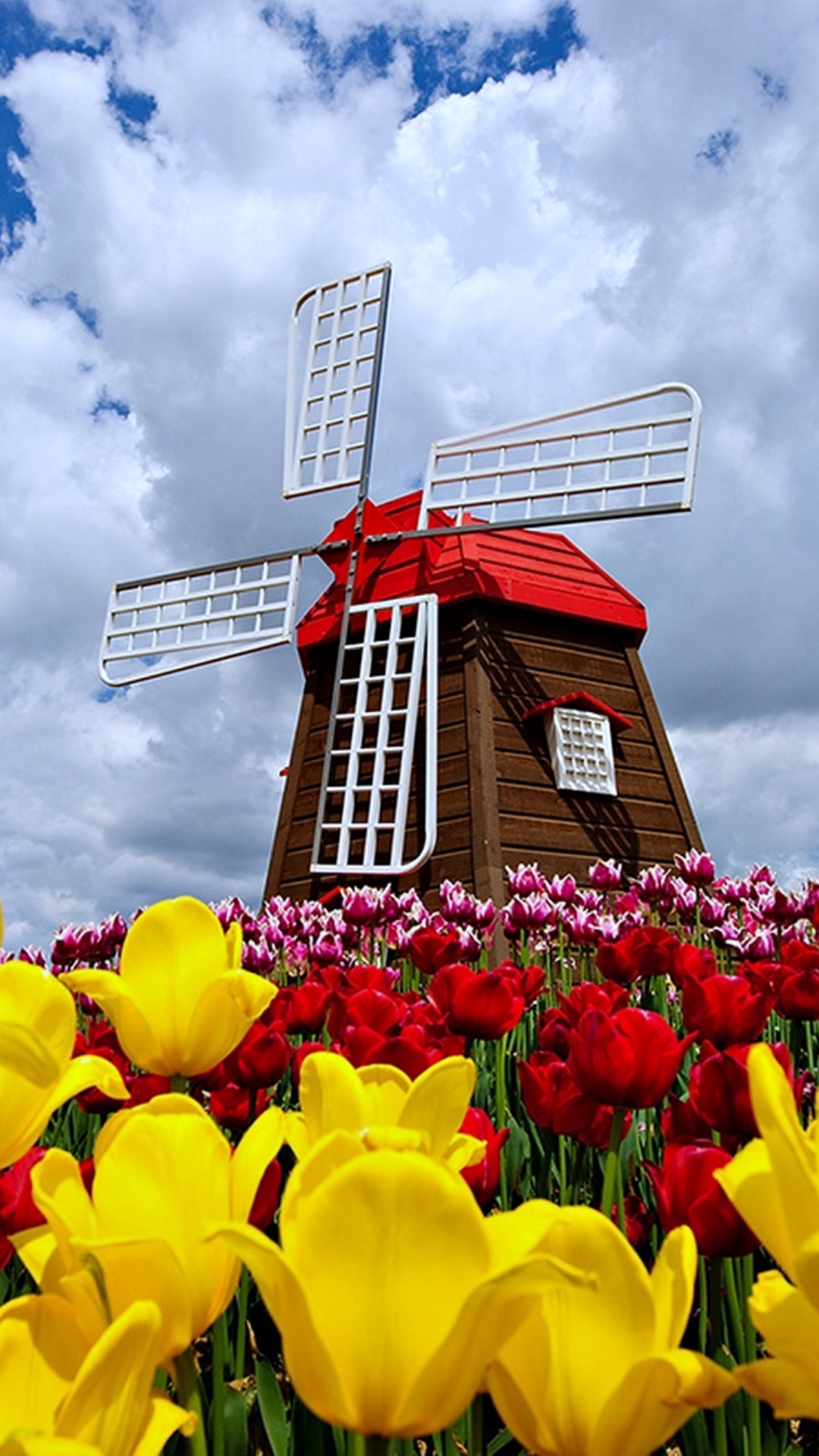 Handy-Wallpaper Natur, Blume, Frühling, Wolke, Tulpe, Windmühle, Himmel, Menschengemacht kostenlos herunterladen.