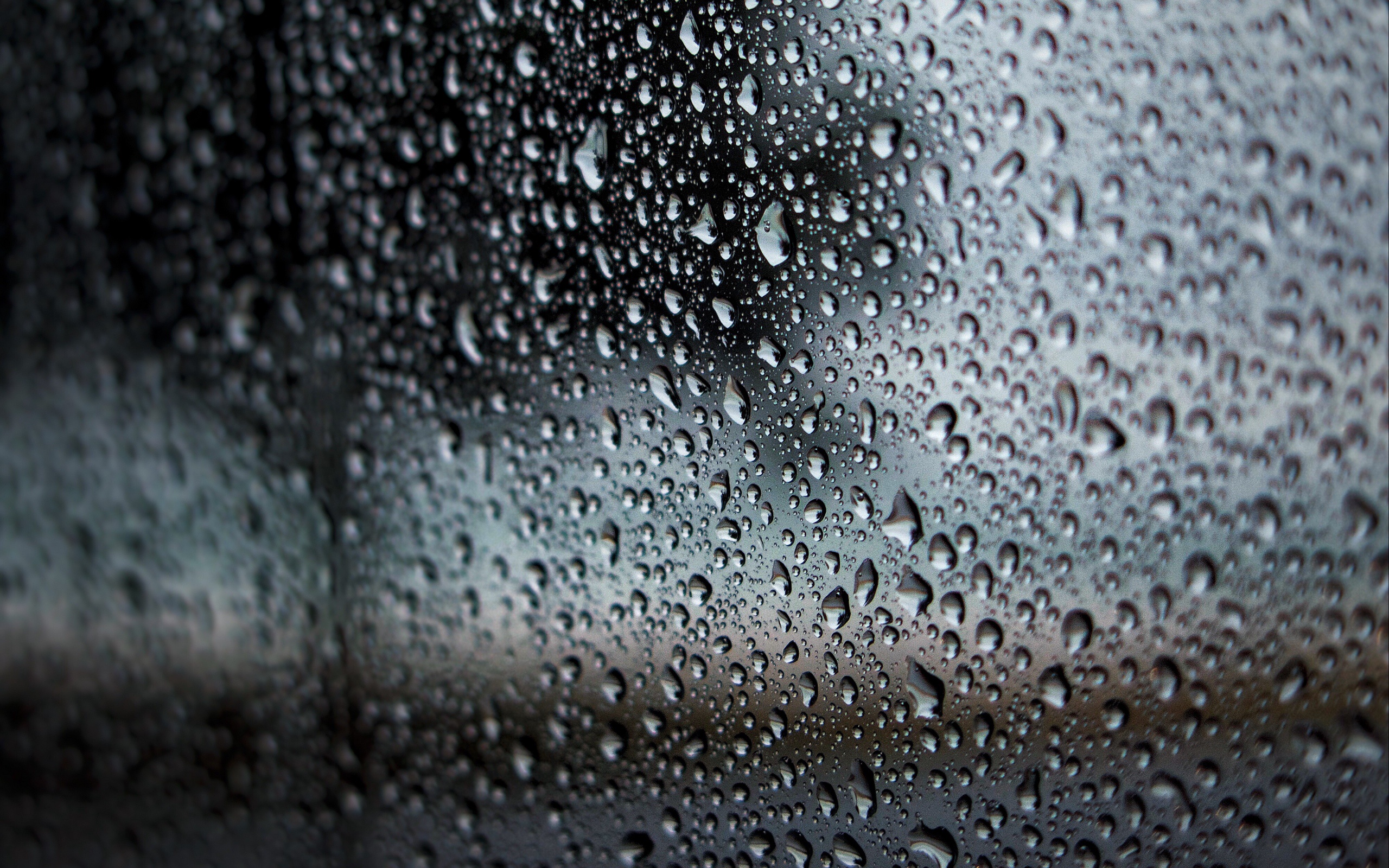 Baixe gratuitamente a imagem Fotografia, Pingos De Chuva na área de trabalho do seu PC