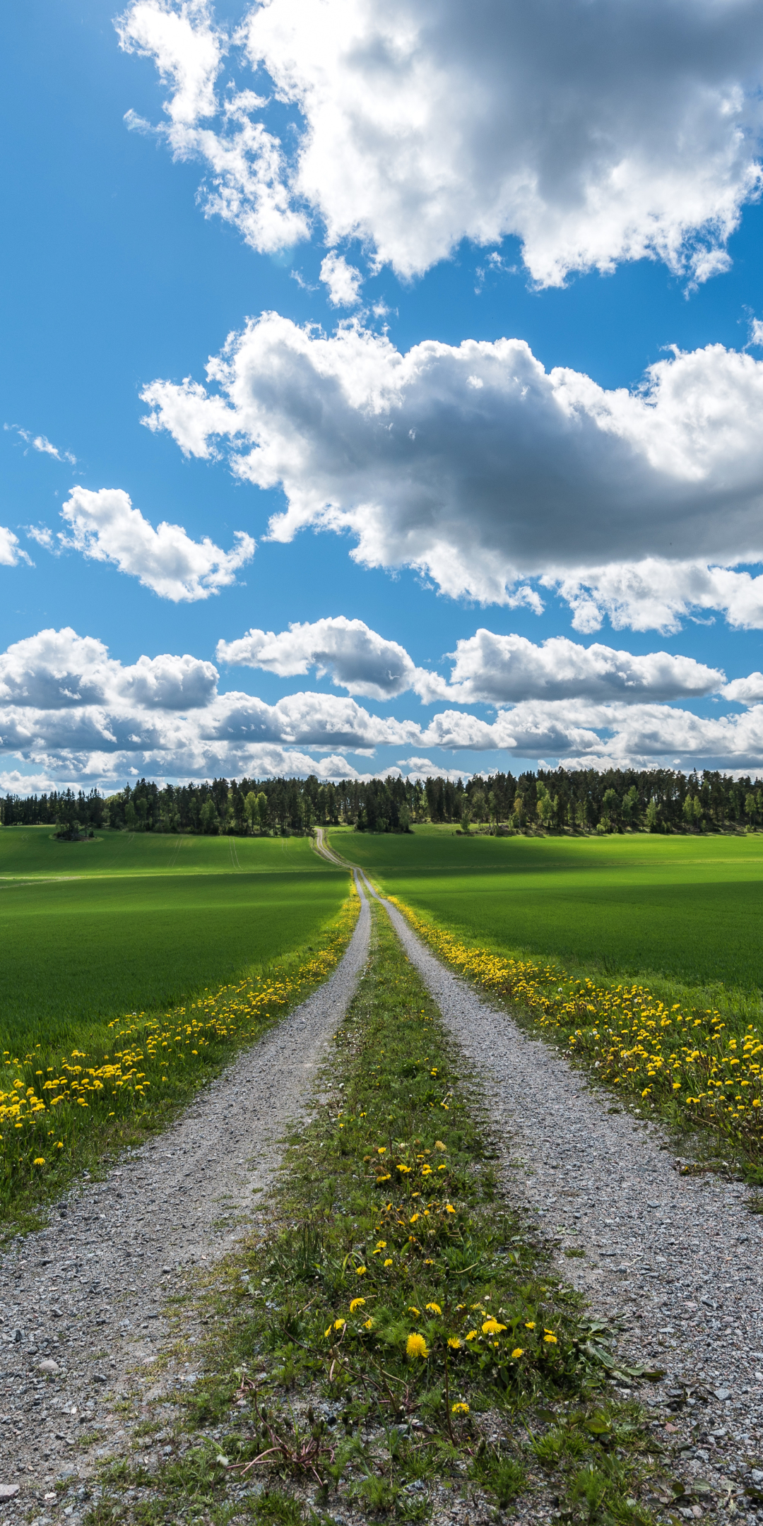 Download mobile wallpaper Landscape, Sky, Road, Field, Cloud, Man Made, Dirt Road for free.