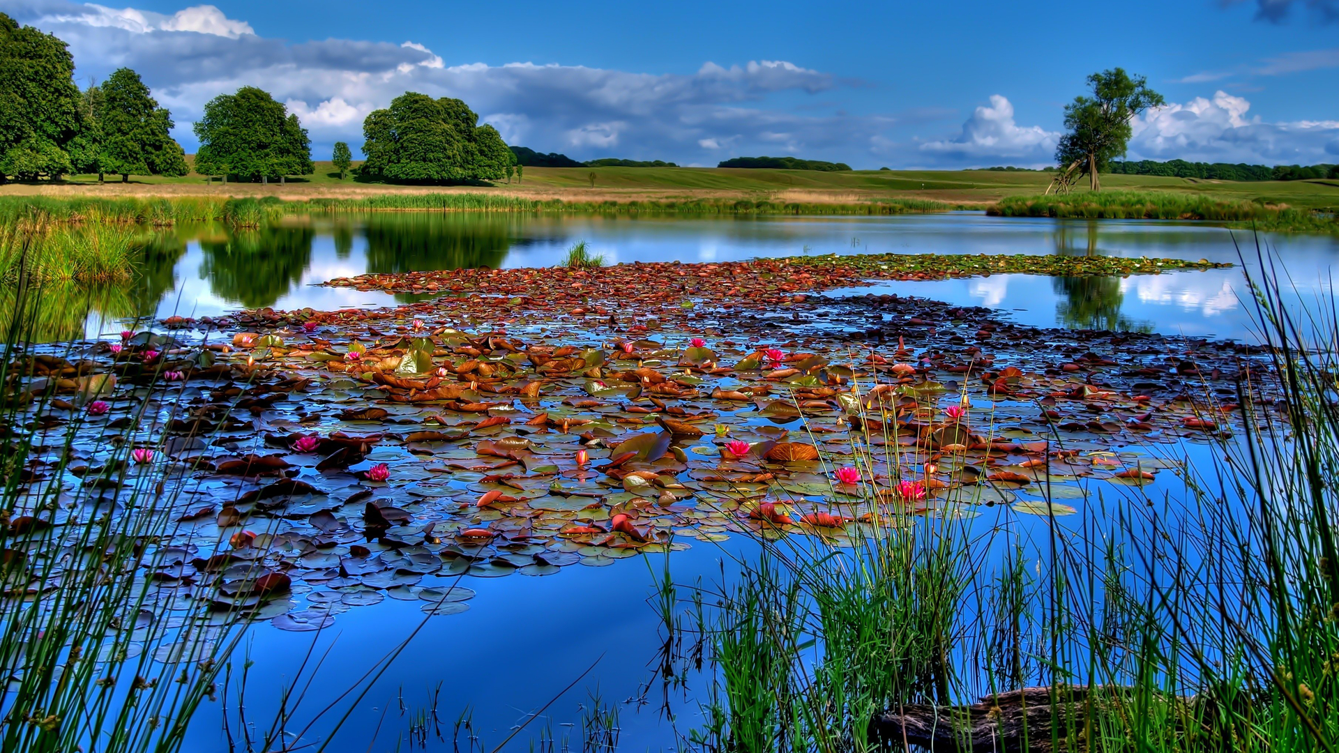 Téléchargez gratuitement l'image Lac, Terre/nature sur le bureau de votre PC