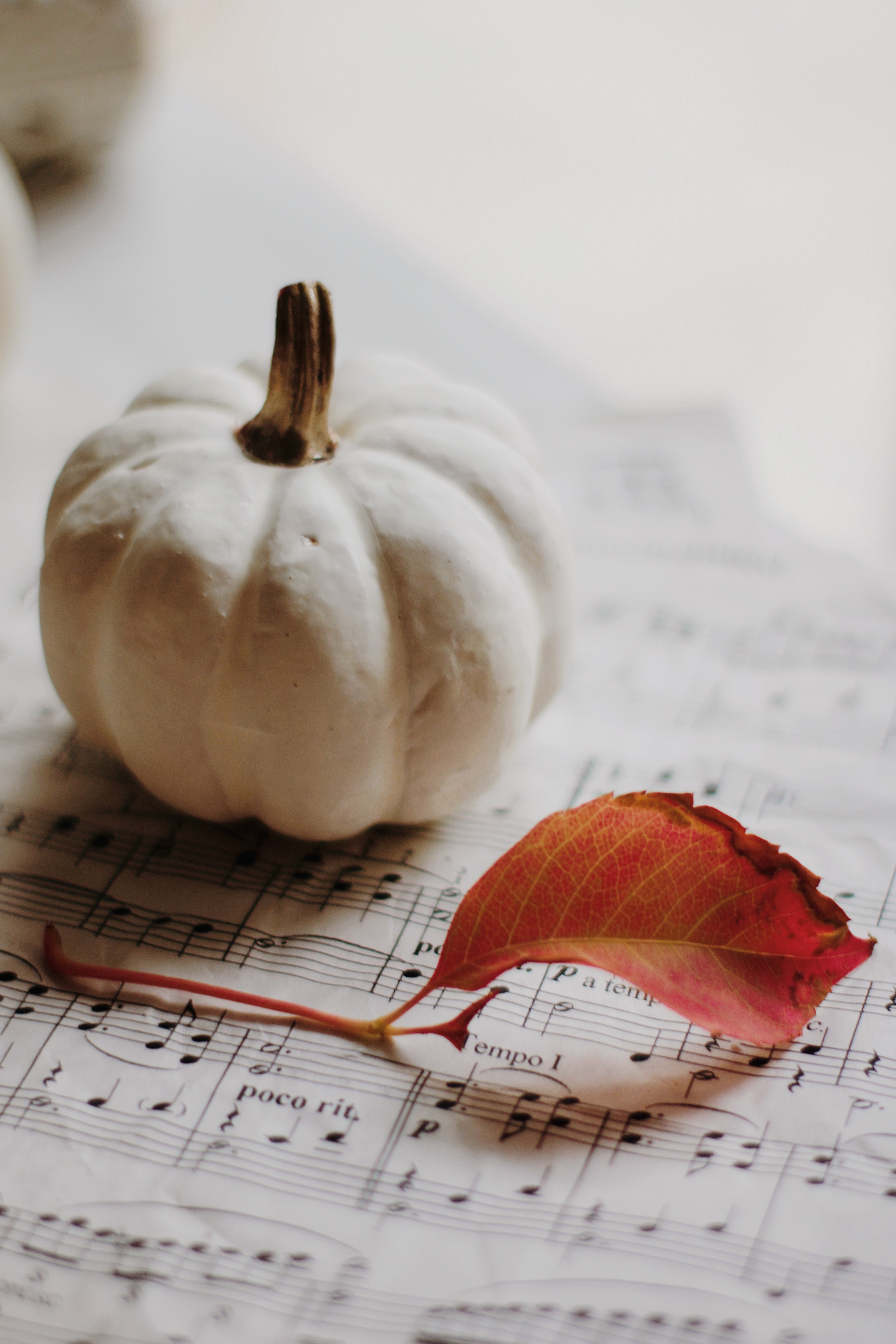 HD wallpaper sheet, music, autumn, pumpkin, miscellanea, miscellaneous, leaf, notes