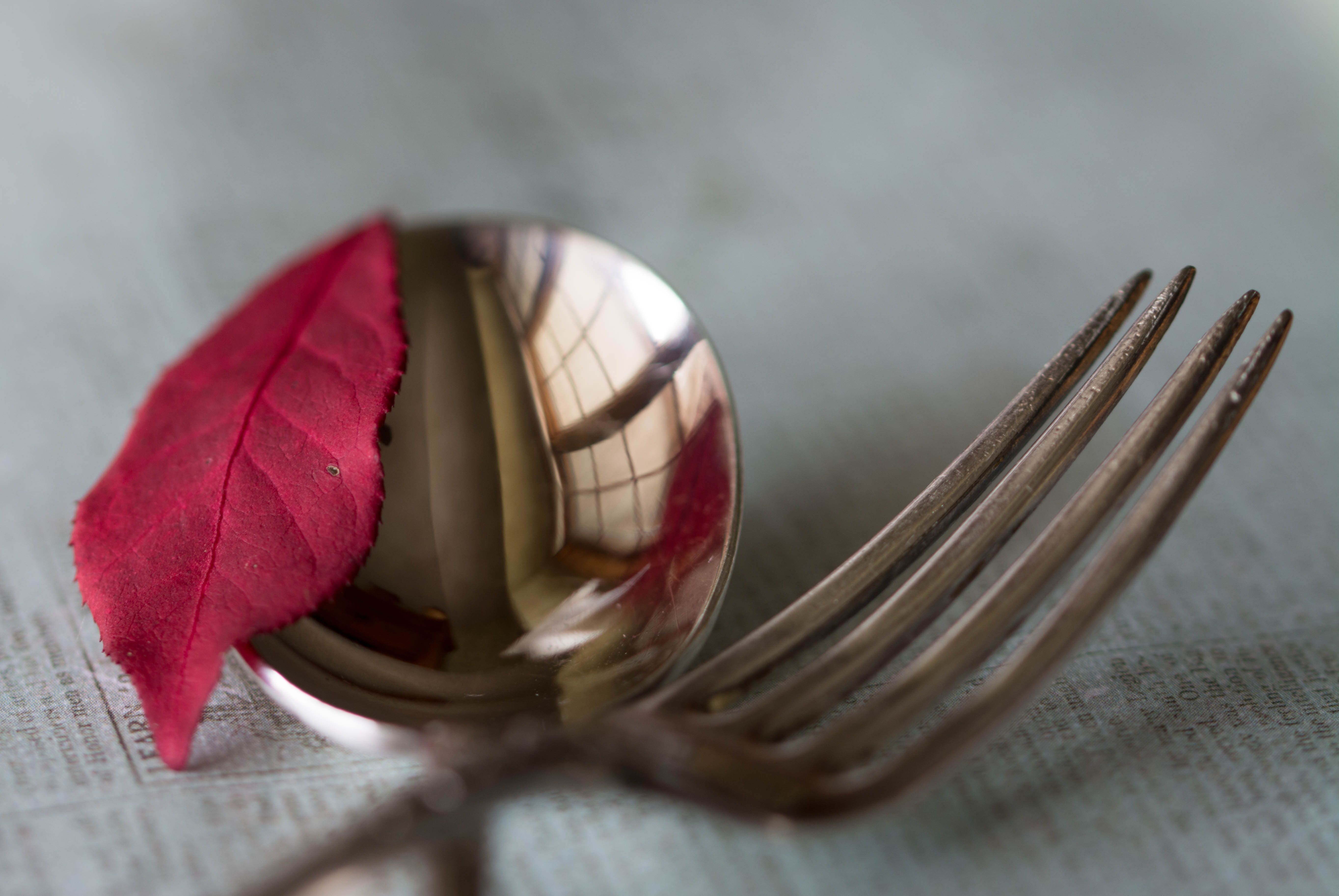 photography, macro, fork, leaf, reflection, spoon