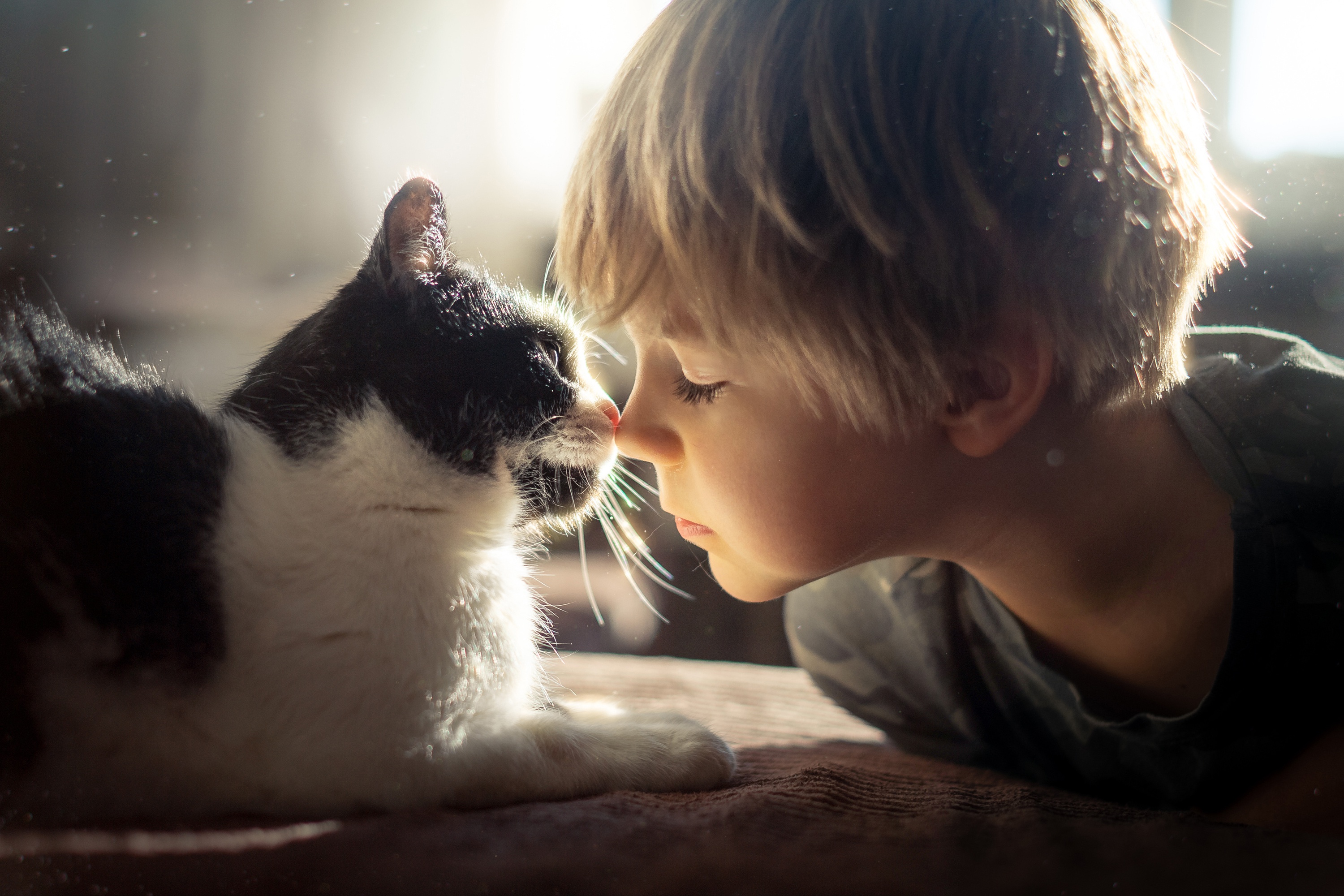Download mobile wallpaper Love, Cat, Child, Photography, Little Boy for free.