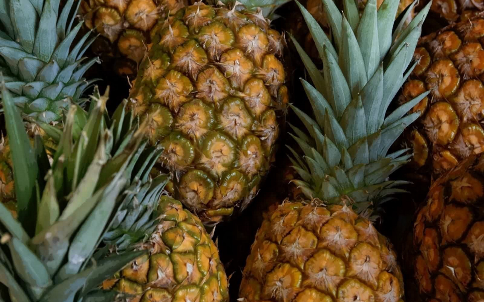 Free download wallpaper Fruits, Food, Pineapple on your PC desktop