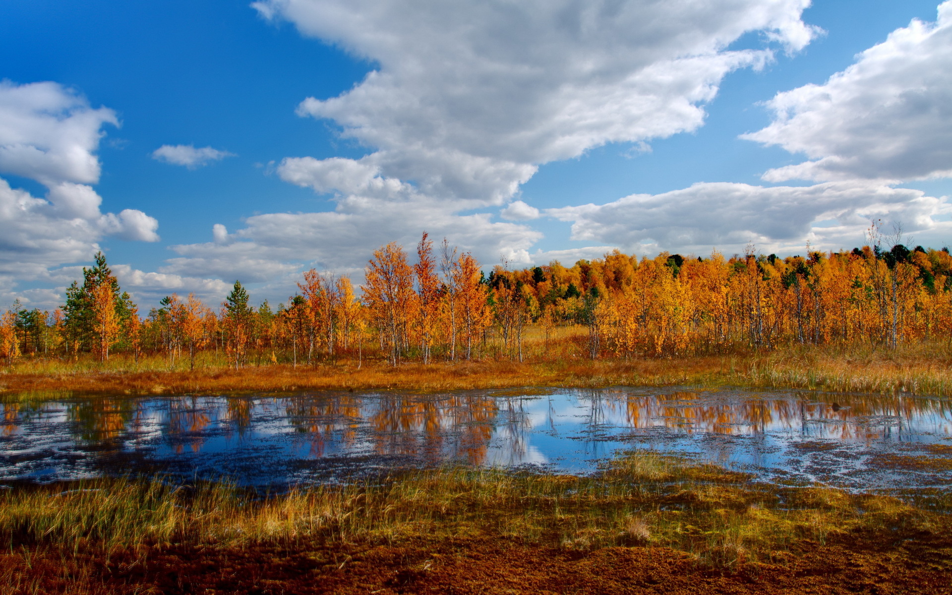 PCデスクトップに風景, 自然, 秋, 湖, 反射, 森, 地球, シーズン, 風光明媚な画像を無料でダウンロード