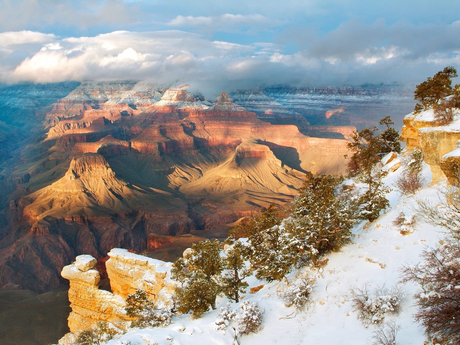 82700壁紙のダウンロード冬, 自然, 木, 山脈, 峡谷, 雪, 高さ, キャニオンズ, アリゾナ, アリゾナ州-スクリーンセーバーと写真を無料で
