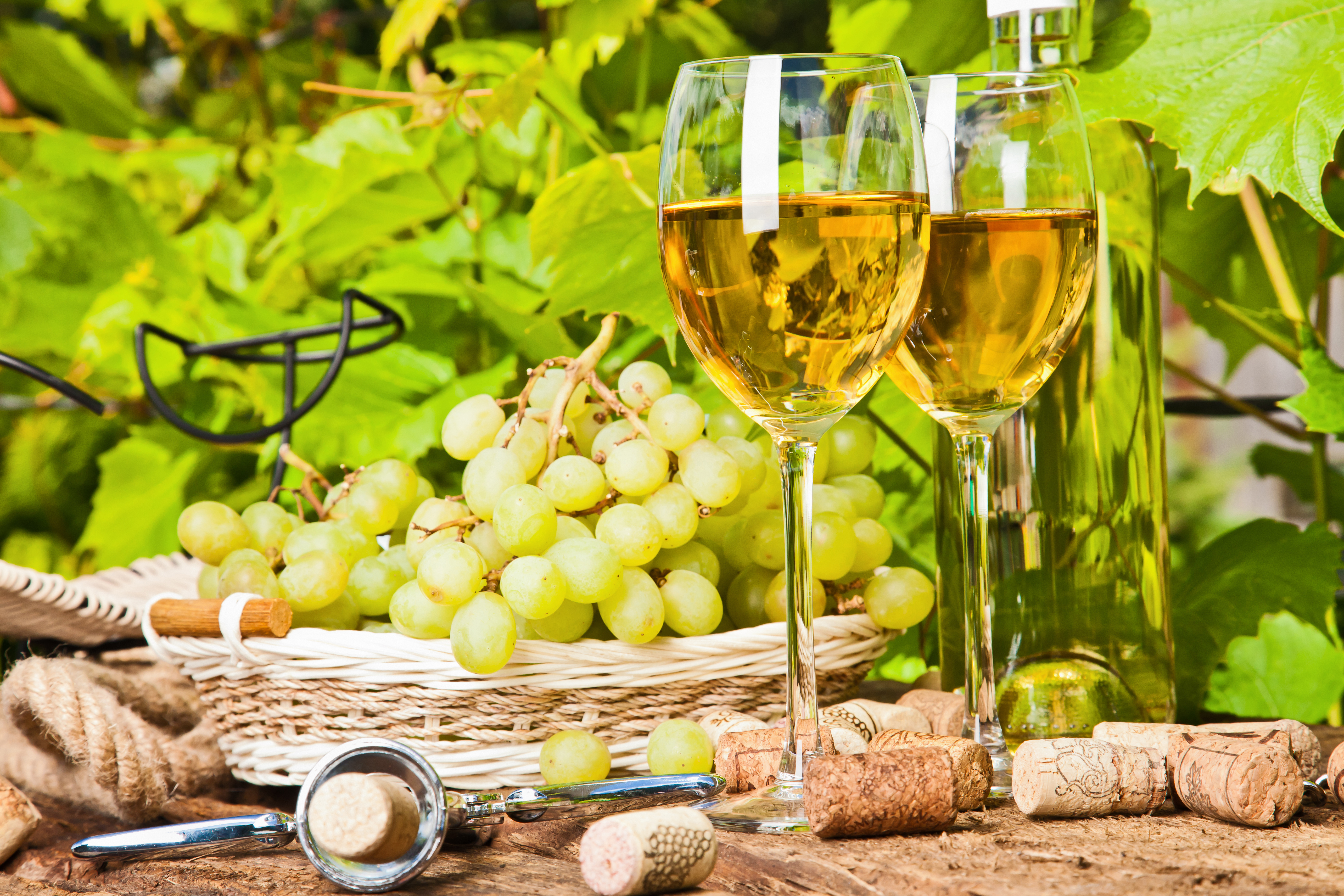 Download mobile wallpaper Food, Wine for free.