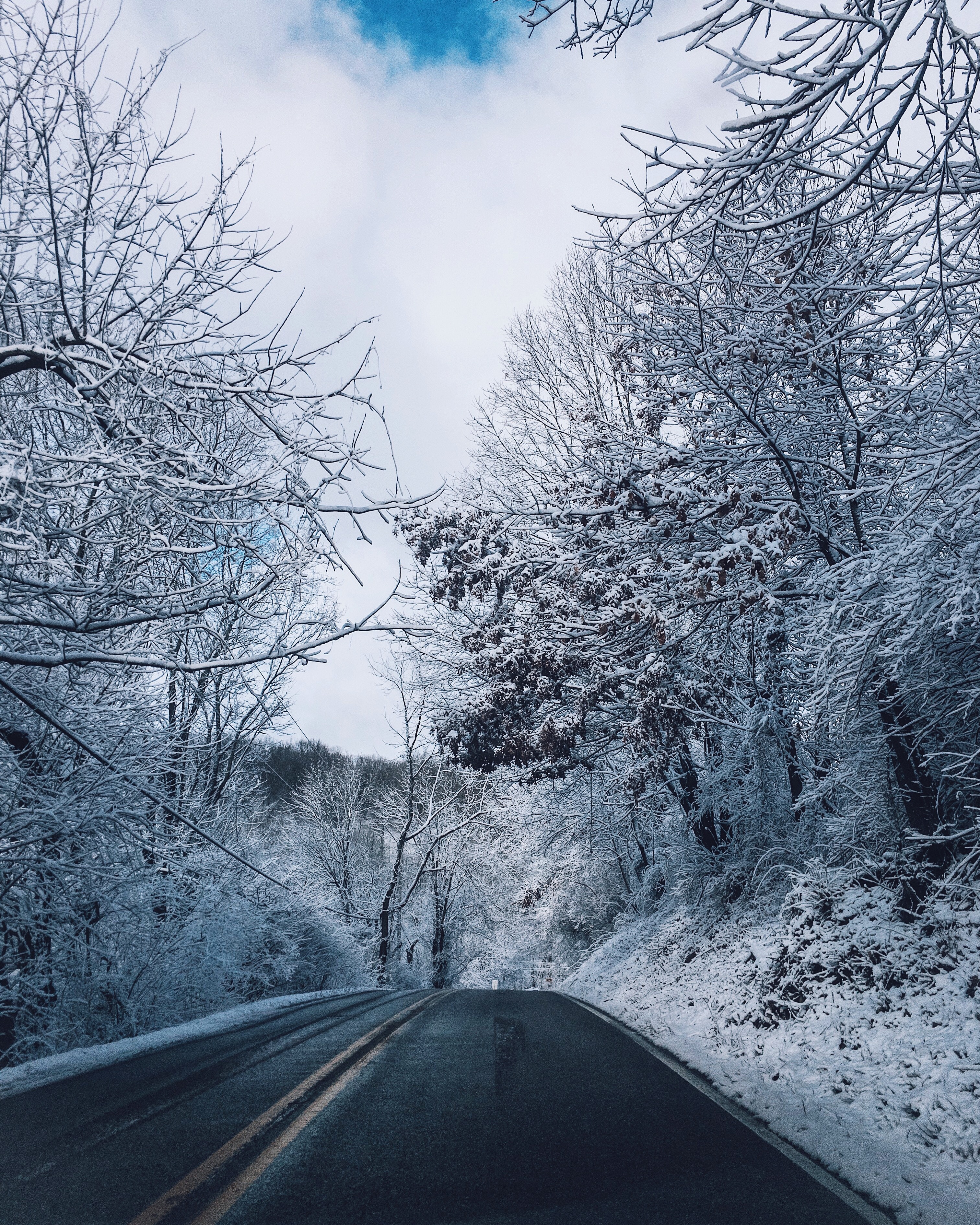 141755 завантажити картинку зима, природа, дерева, сніг, дорога, розмітка, розмітки - шпалери і заставки безкоштовно