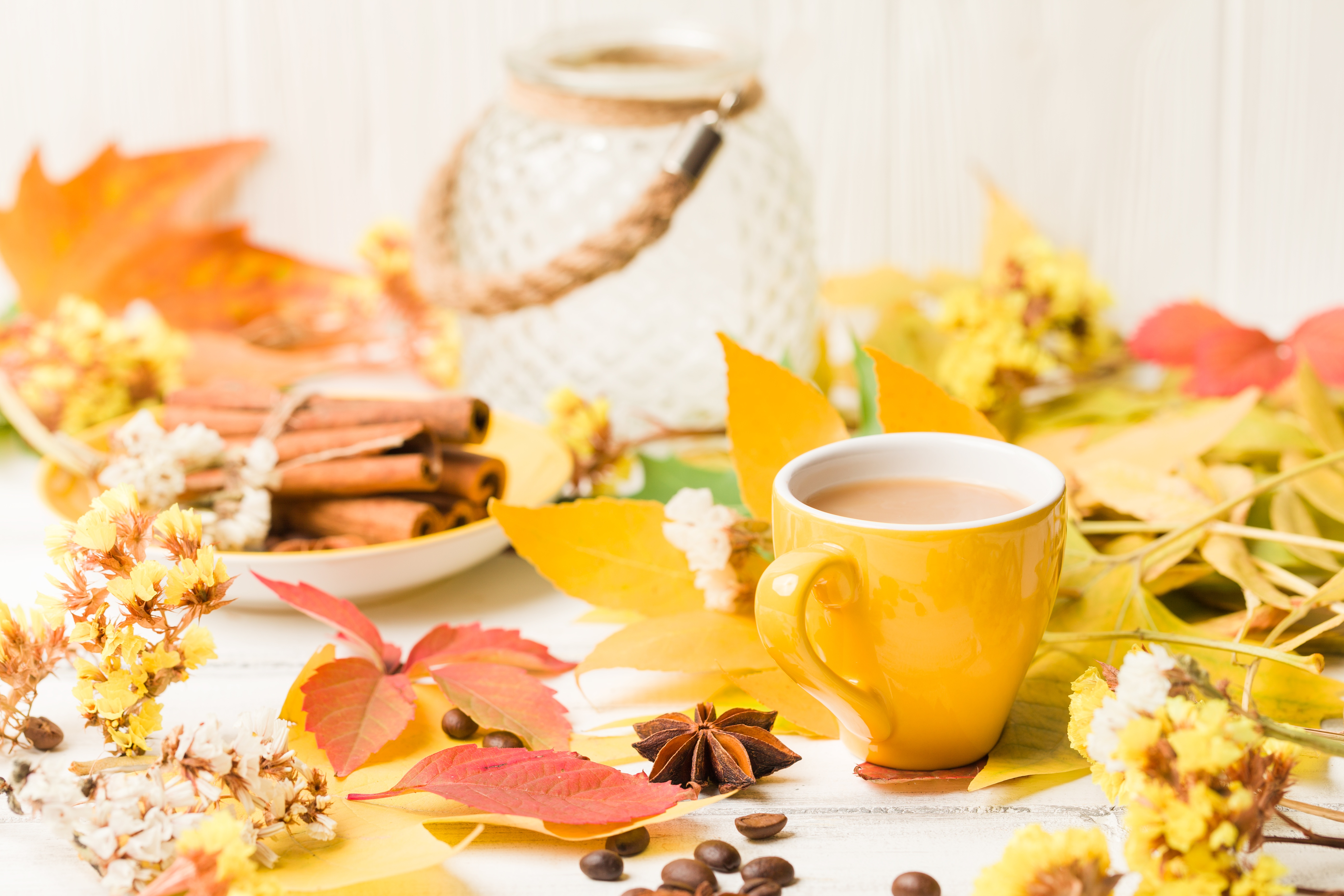 Download mobile wallpaper Food, Coffee, Still Life, Cinnamon, Cup, Leaf, Fall, Drink for free.