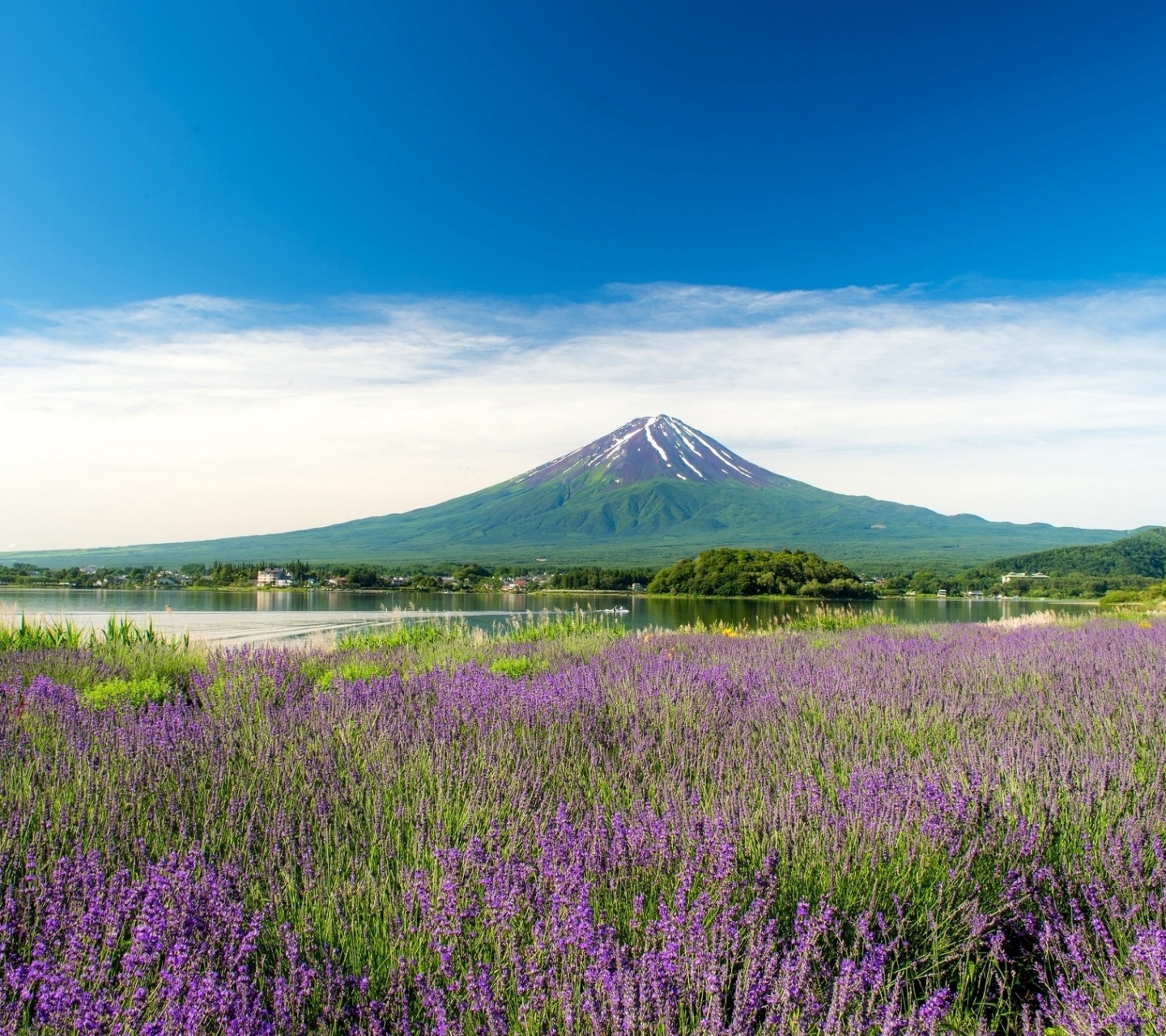 Скачать картинку Япония, Вулкан, Гора Фудзи, Вулканы, Земля/природа в телефон бесплатно.