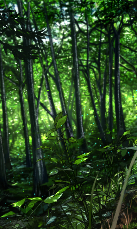 Download mobile wallpaper Anime, Forest for free.