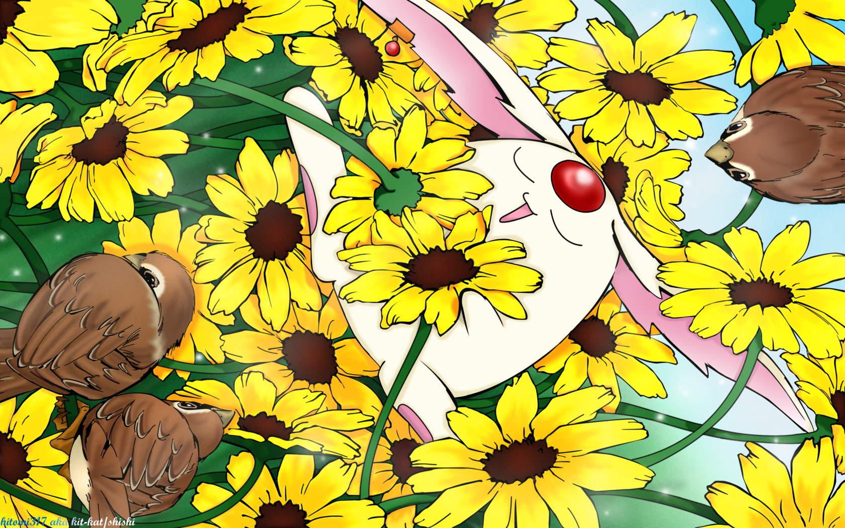 Download mobile wallpaper Anime, Tsubasa: Reservoir Chronicle for free.