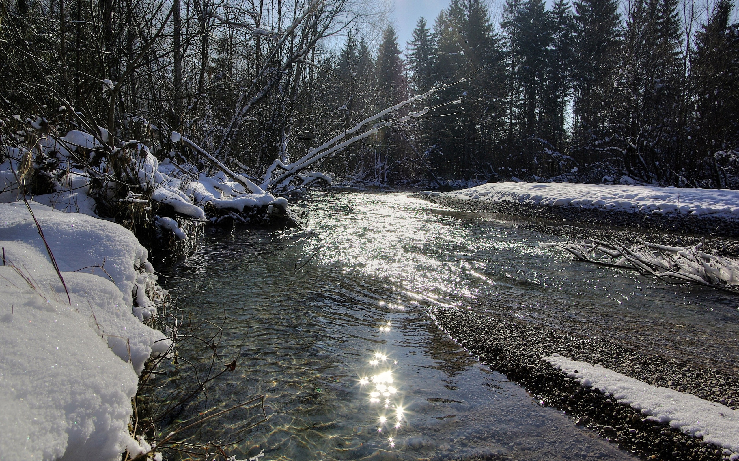 Descarga gratis la imagen Invierno, Tierra/naturaleza en el escritorio de tu PC