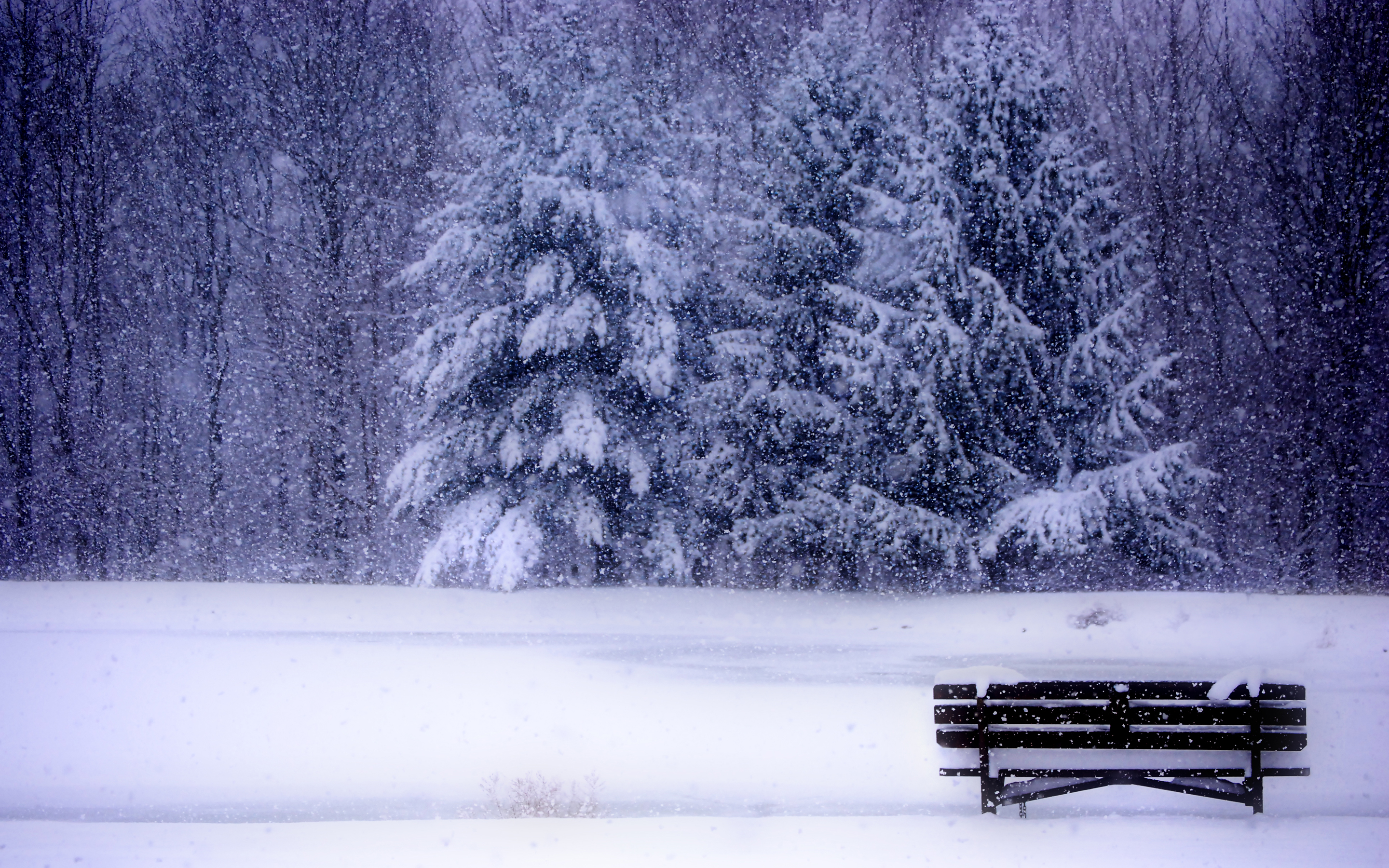 Free download wallpaper Winter, Bench, Photography on your PC desktop