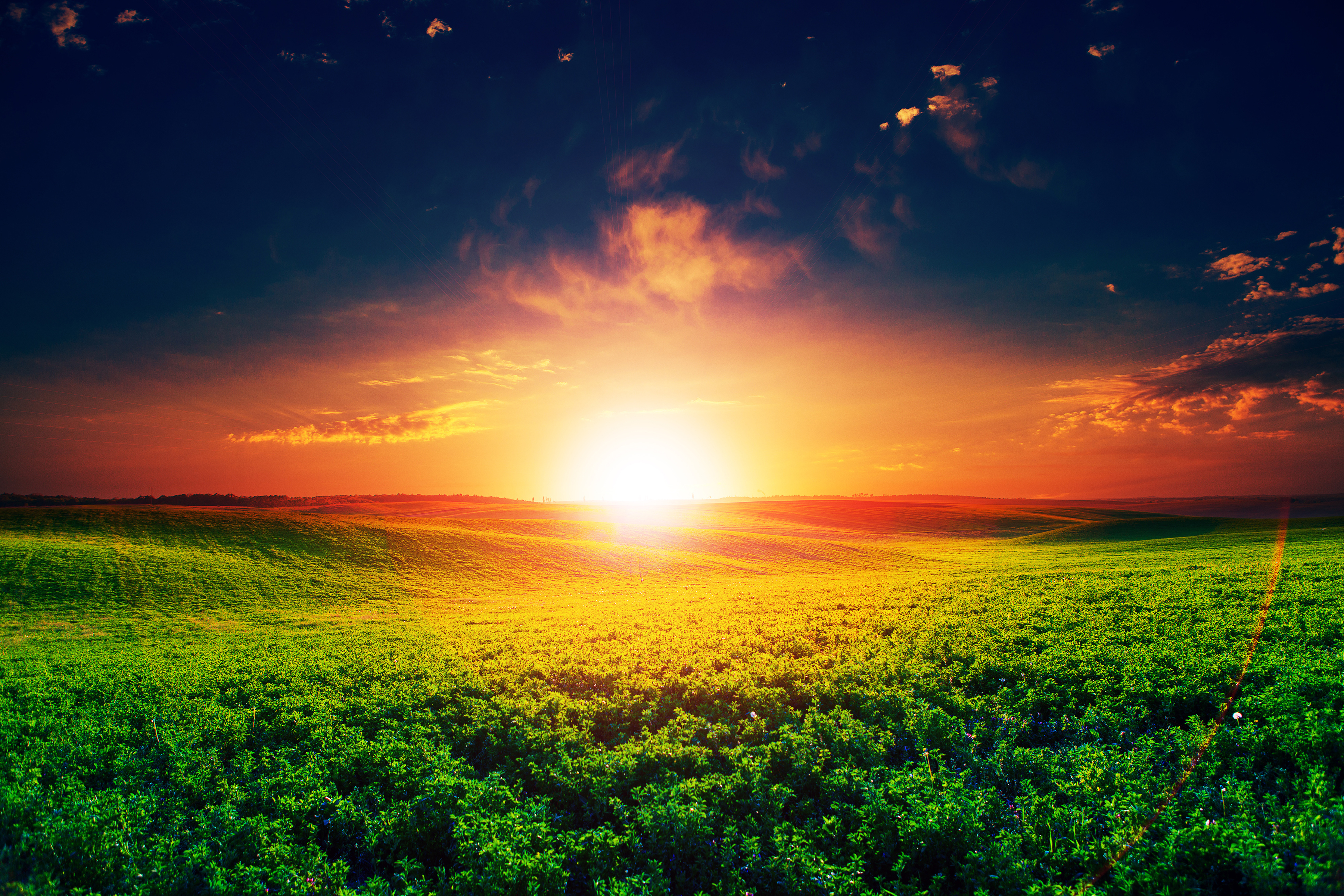 Download mobile wallpaper Nature, Sunset, Sky, Horizon, Earth, Field for free.