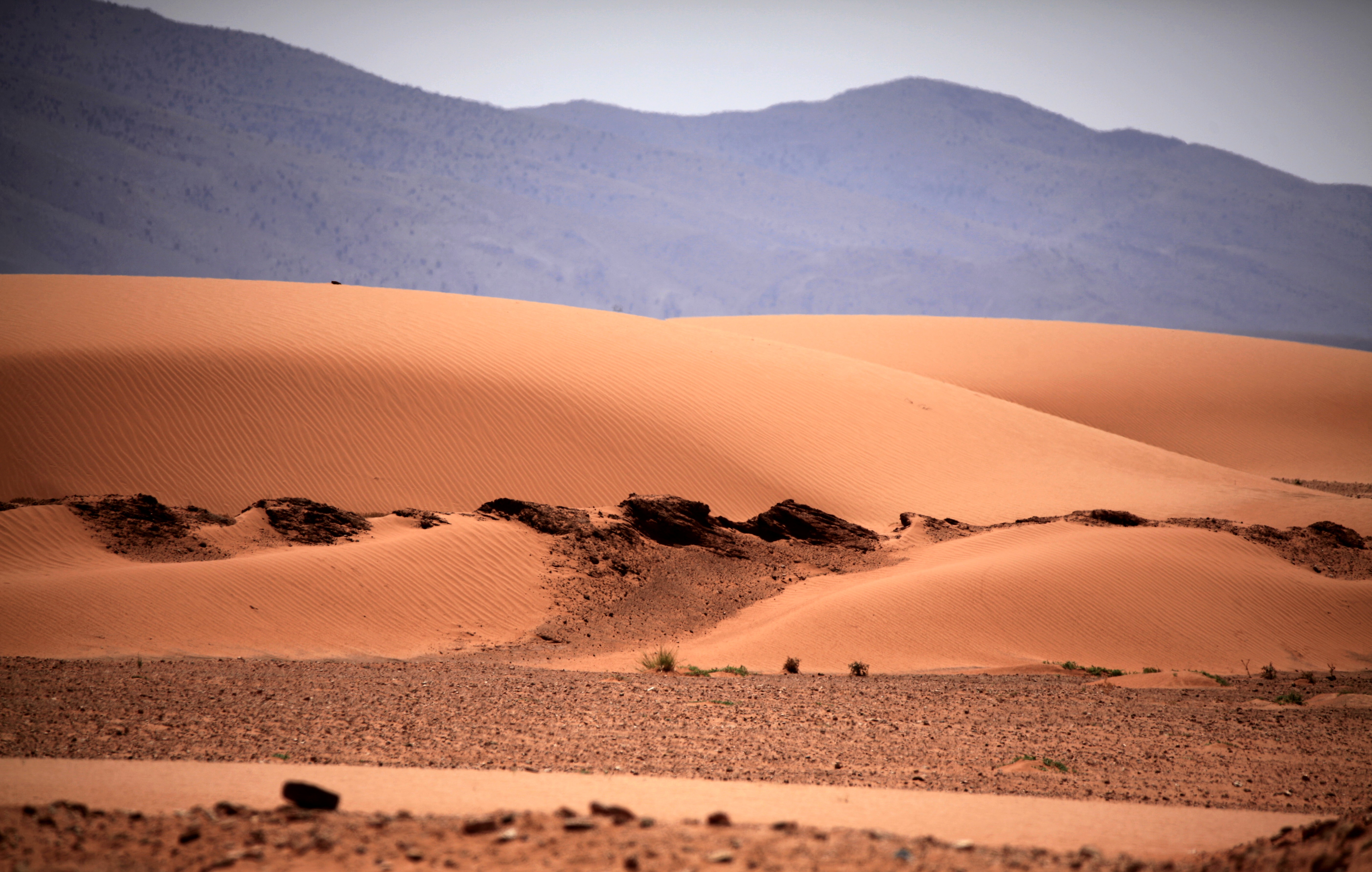 Download mobile wallpaper Sand, Desert, Earth, Dune, Sahara, Africa, Algeria for free.