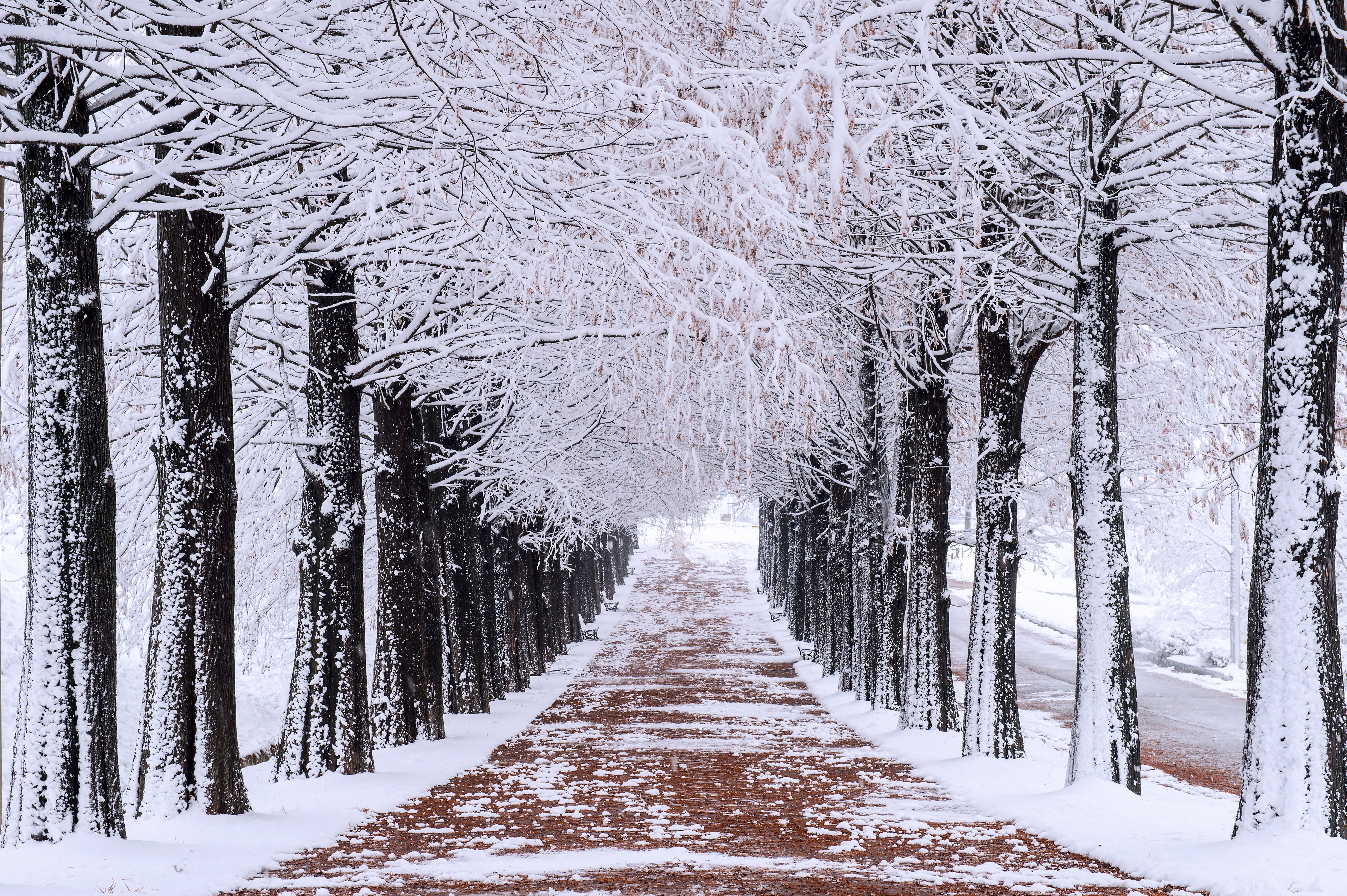 Handy-Wallpaper Winter, Schnee, Park, Fotografie kostenlos herunterladen.