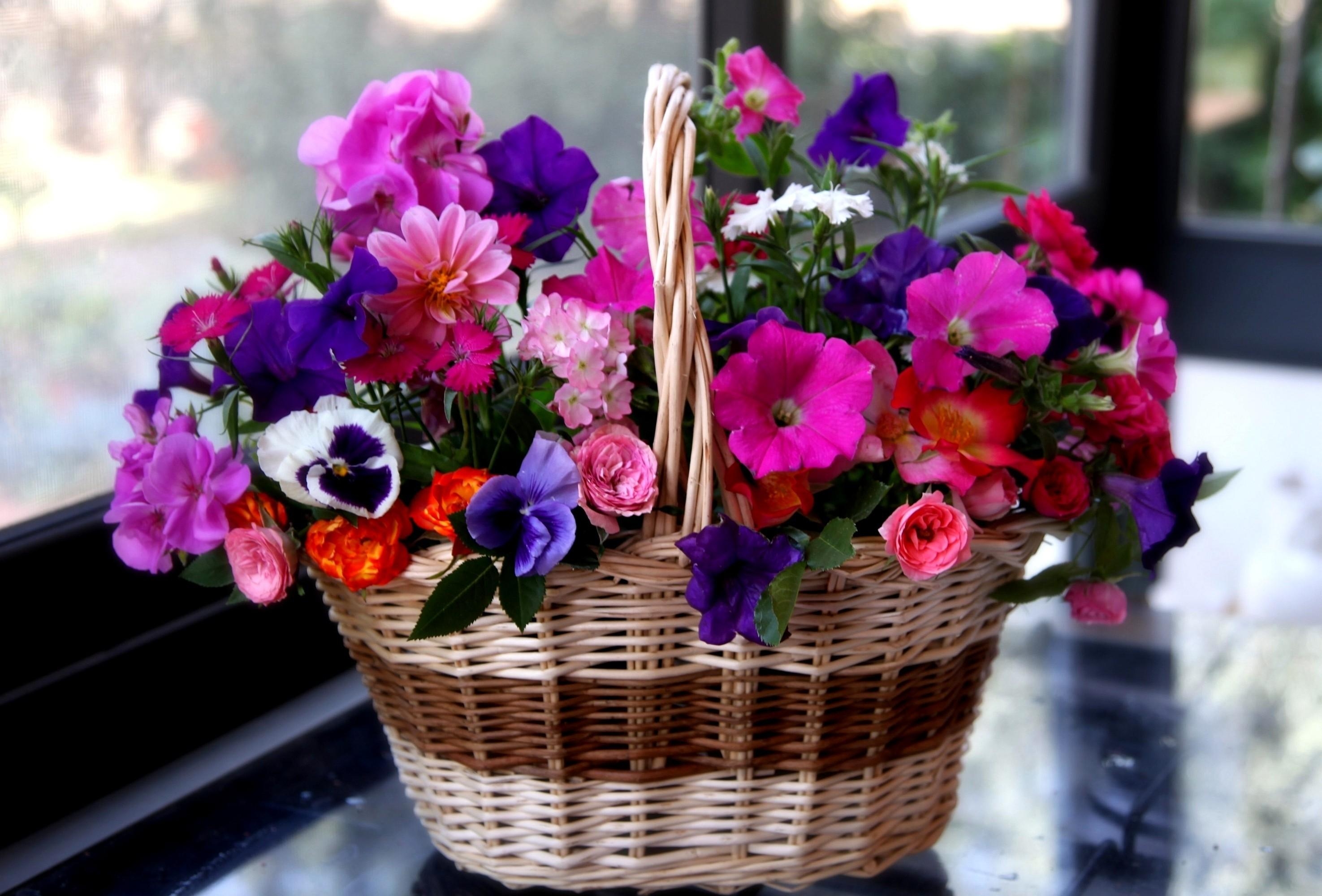 flowers, roses, pansies, basket, different, geranium, petunia