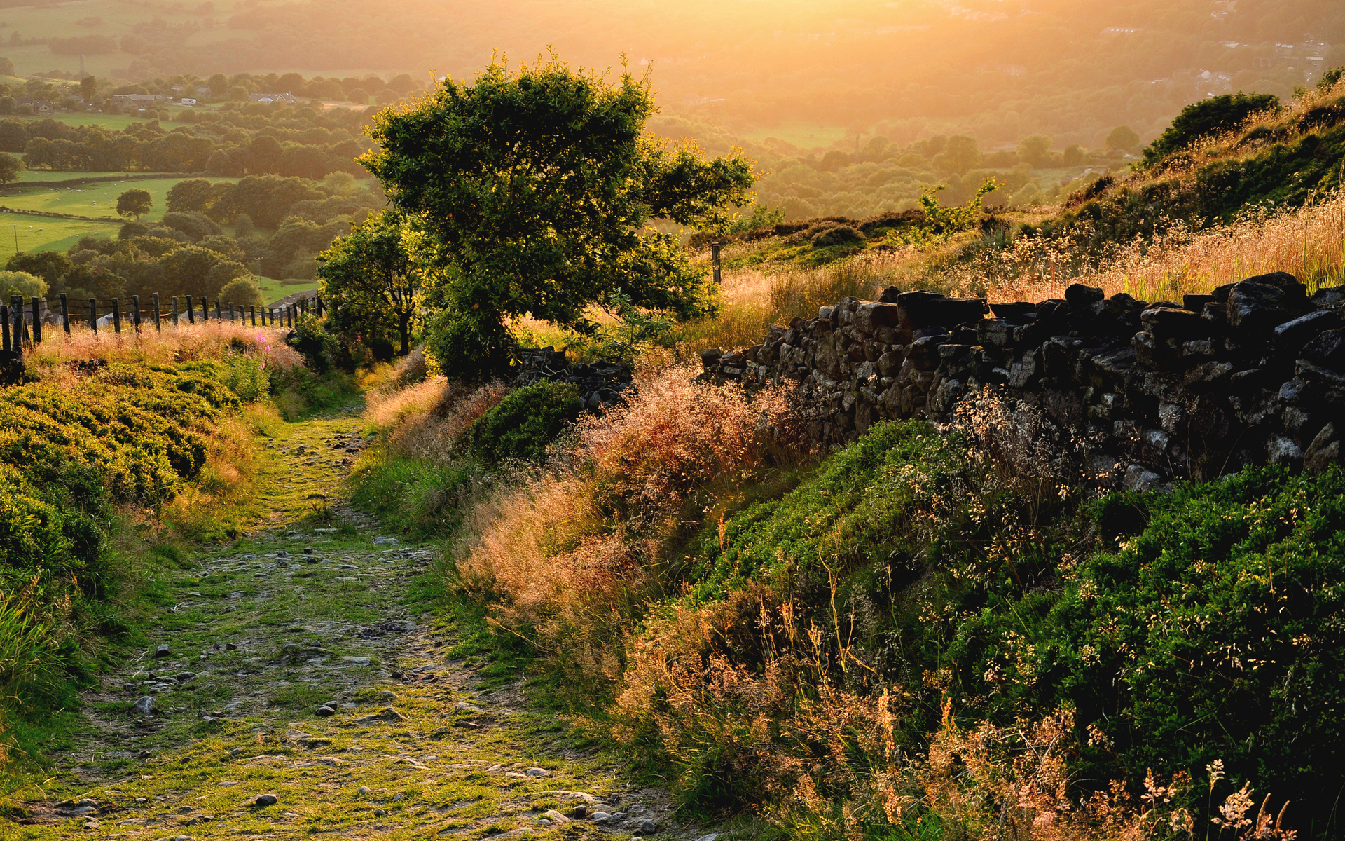 Descarga gratis la imagen Paisaje, Tierra/naturaleza en el escritorio de tu PC