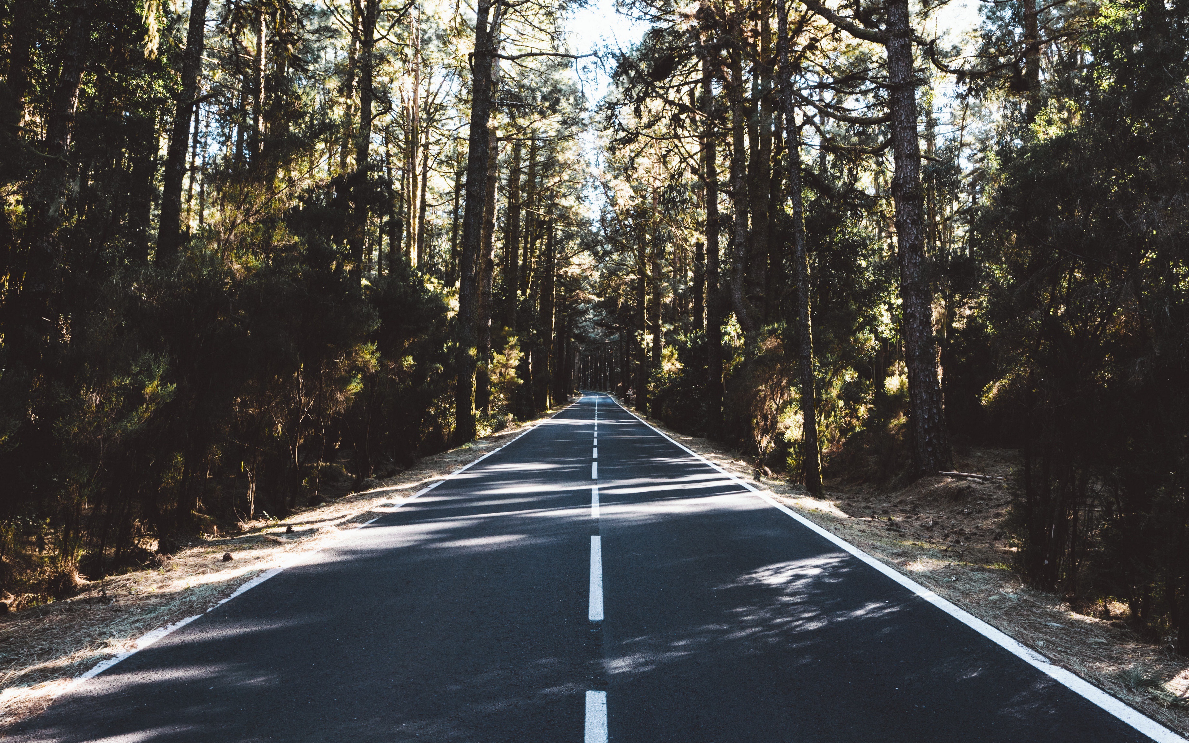 Download mobile wallpaper Nature, Road, Man Made for free.