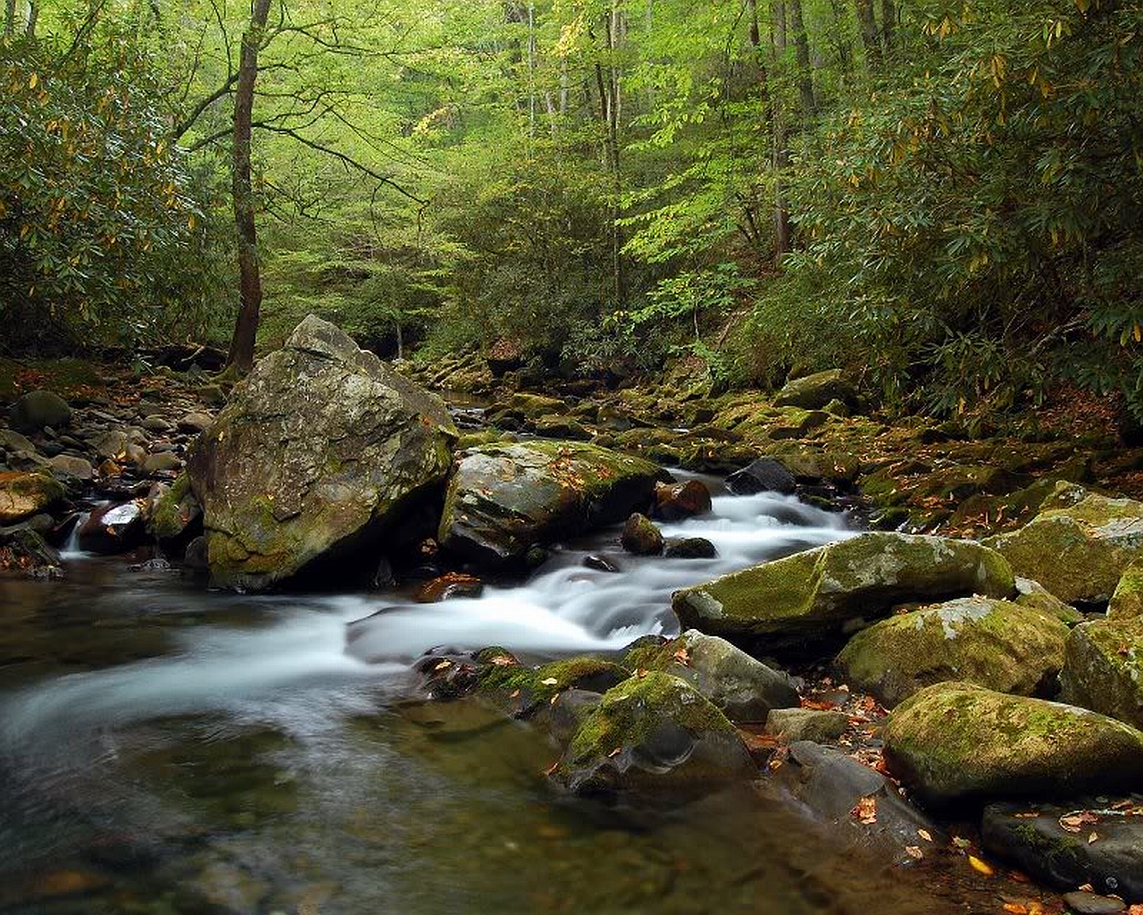 Baixe gratuitamente a imagem Corrente, Terra/natureza na área de trabalho do seu PC