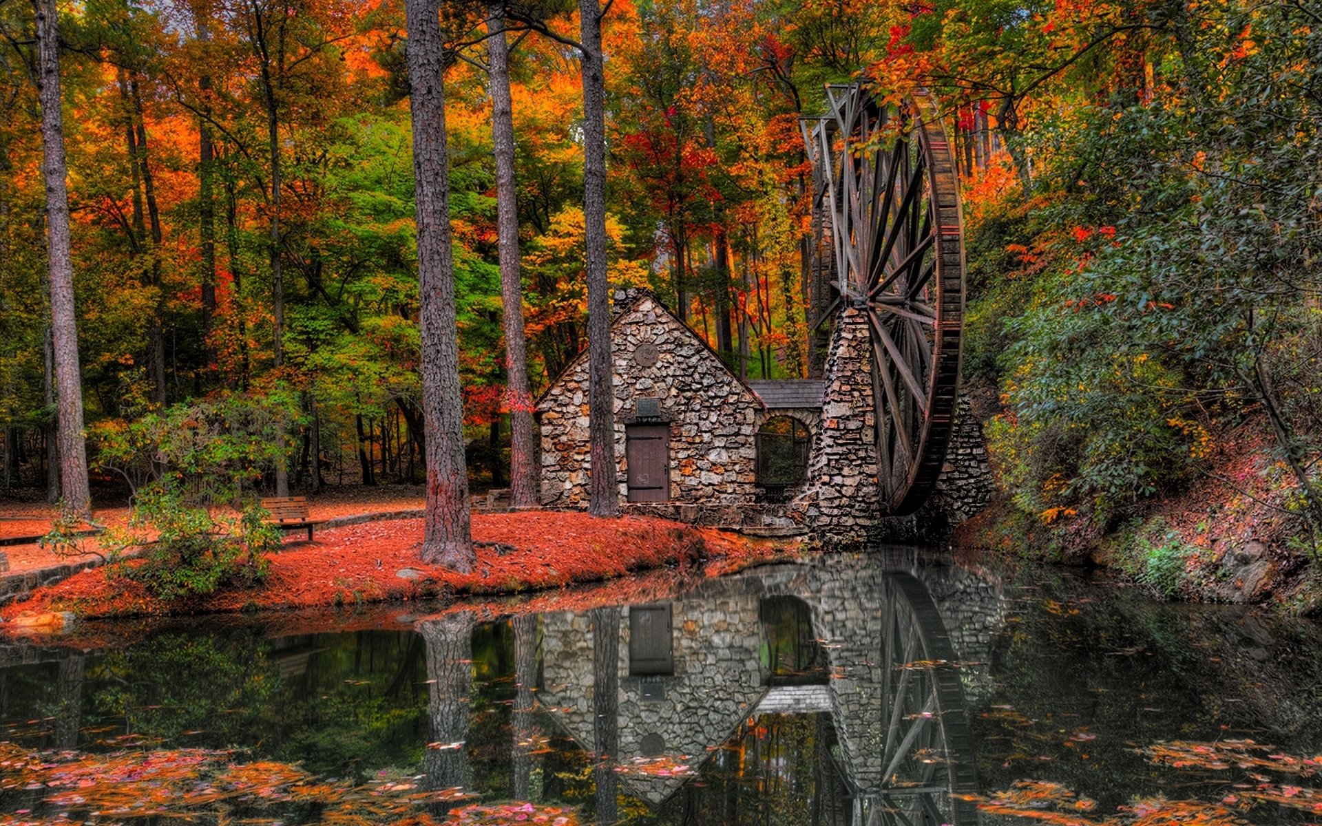 mill, man made, watermill, fall, forest, reflection, tree