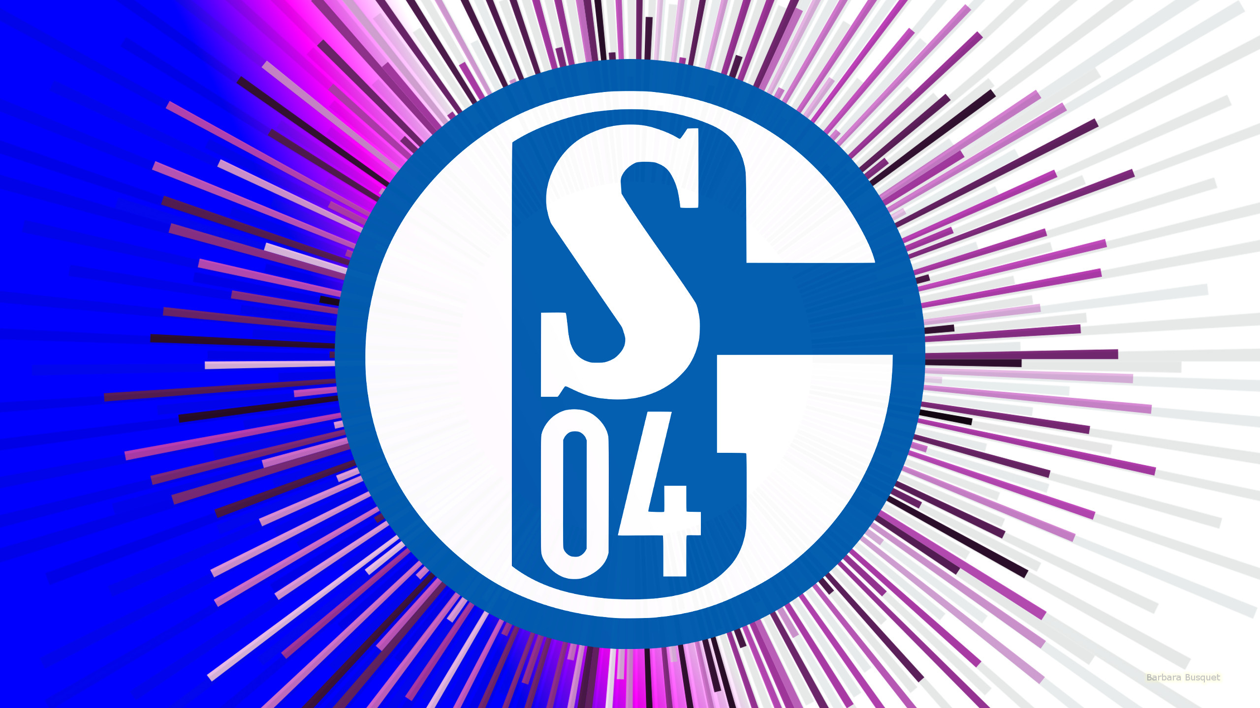 4K for PC  Fc Schalke 04