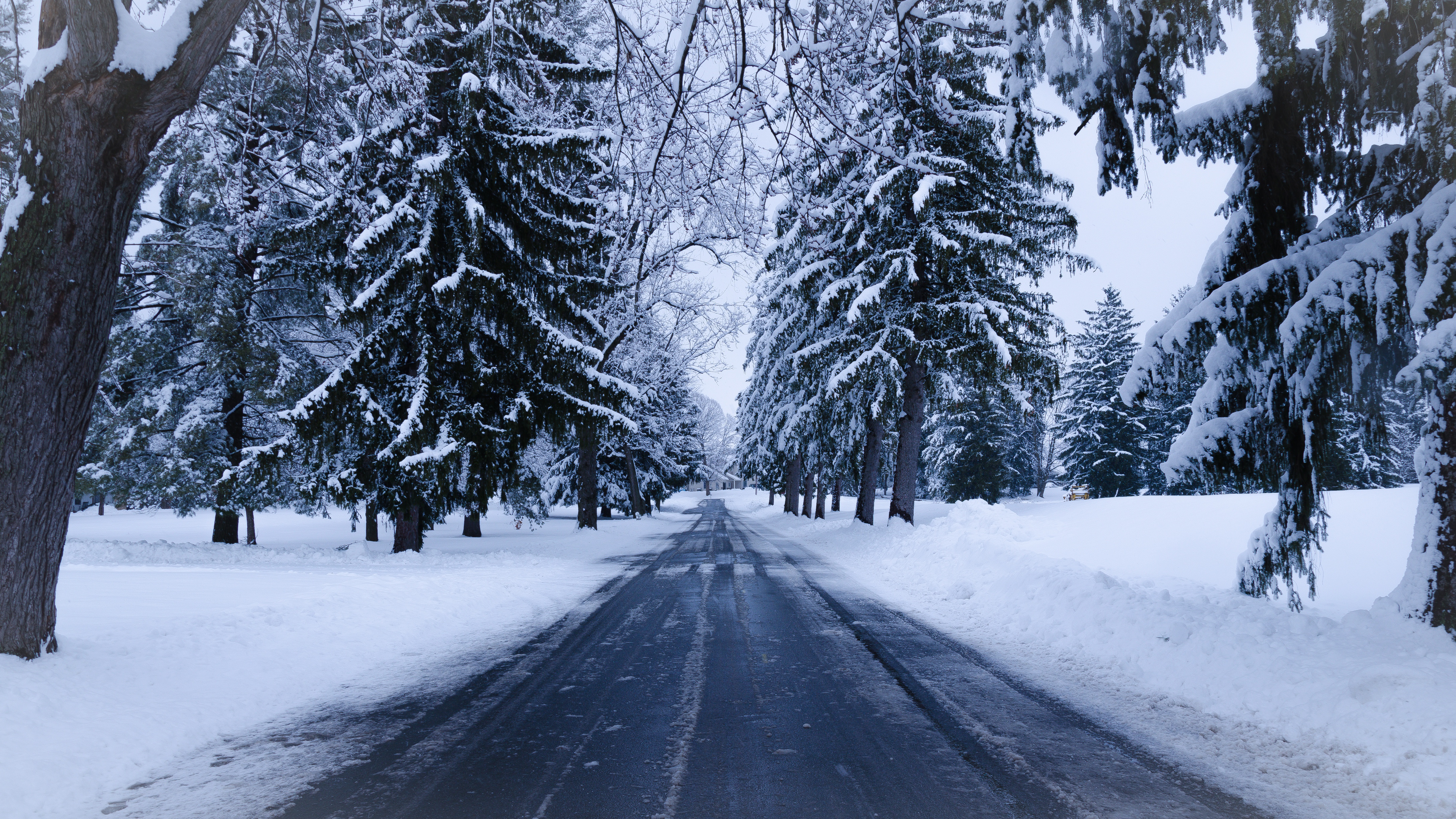 Free download wallpaper Winter, Snow, Road, Spruce, Man Made on your PC desktop