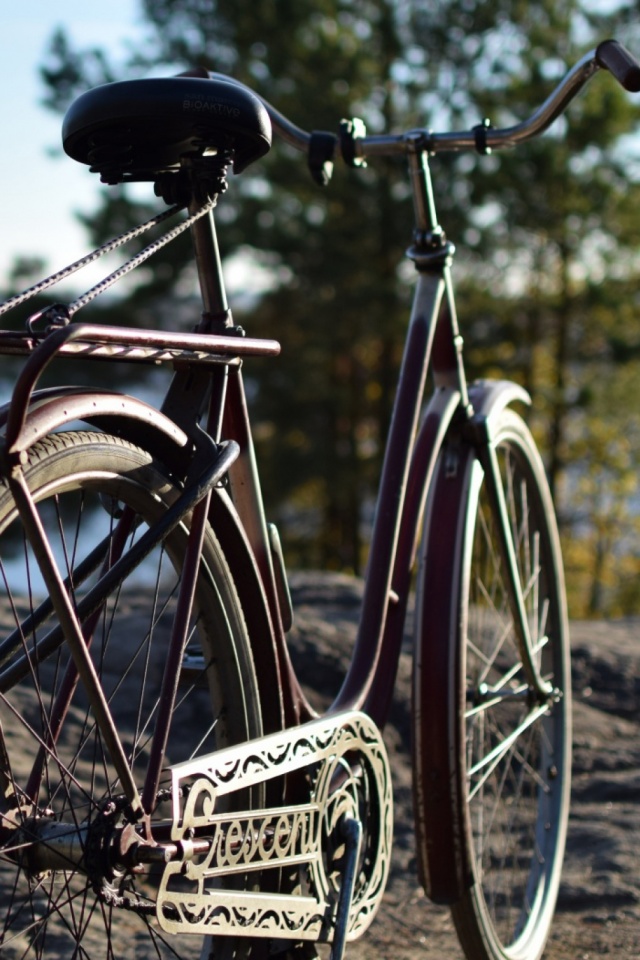 Download mobile wallpaper Retro, Bicycle, Vehicle, Vehicles for free.