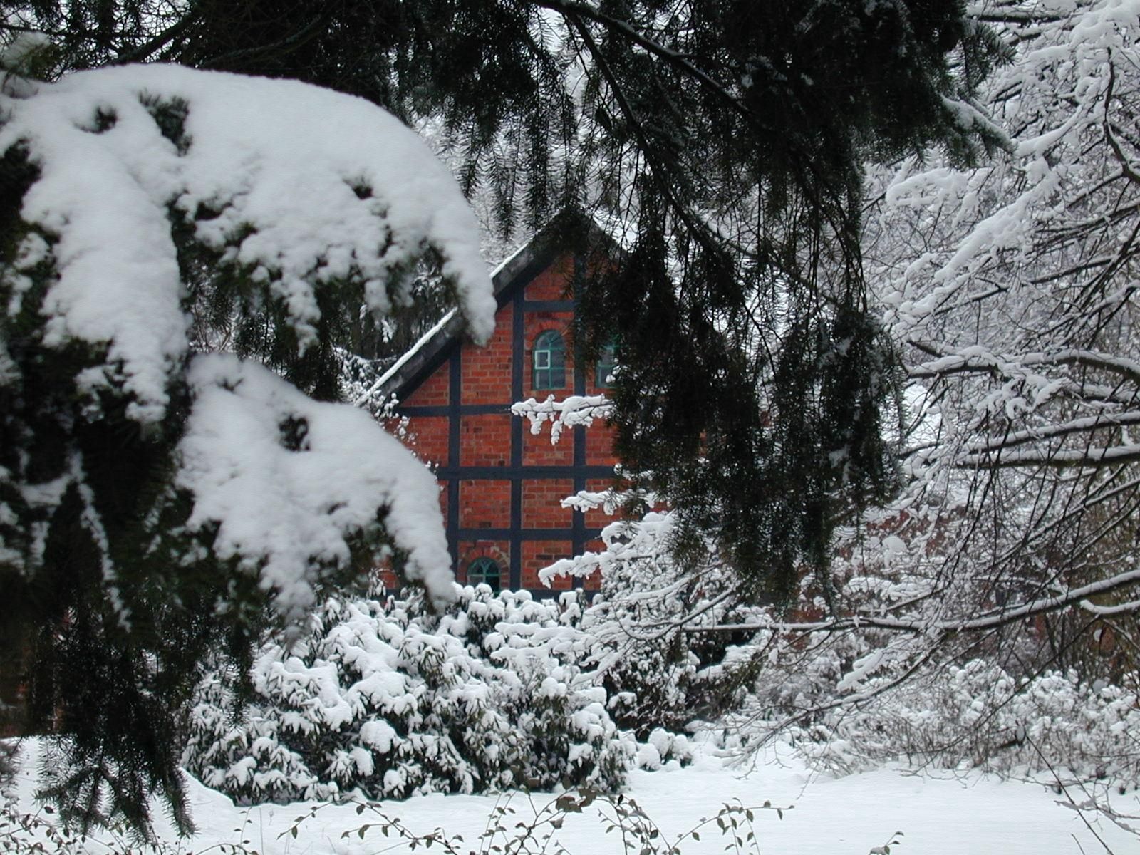 nature, snow, branches, branch, house, spruce, fir, bricks High Definition image