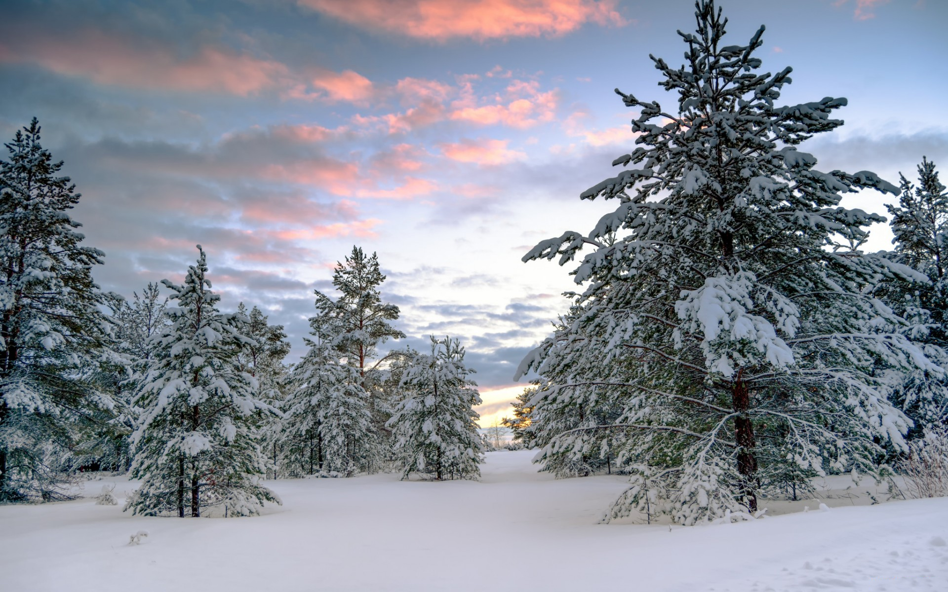 Baixe gratuitamente a imagem Inverno, Pôr Do Sol, Neve, Floresta, Árvore, Terra/natureza na área de trabalho do seu PC