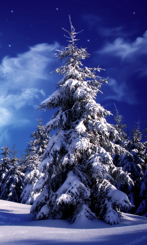 Handy-Wallpaper Winter, Schnee, Erde/natur kostenlos herunterladen.