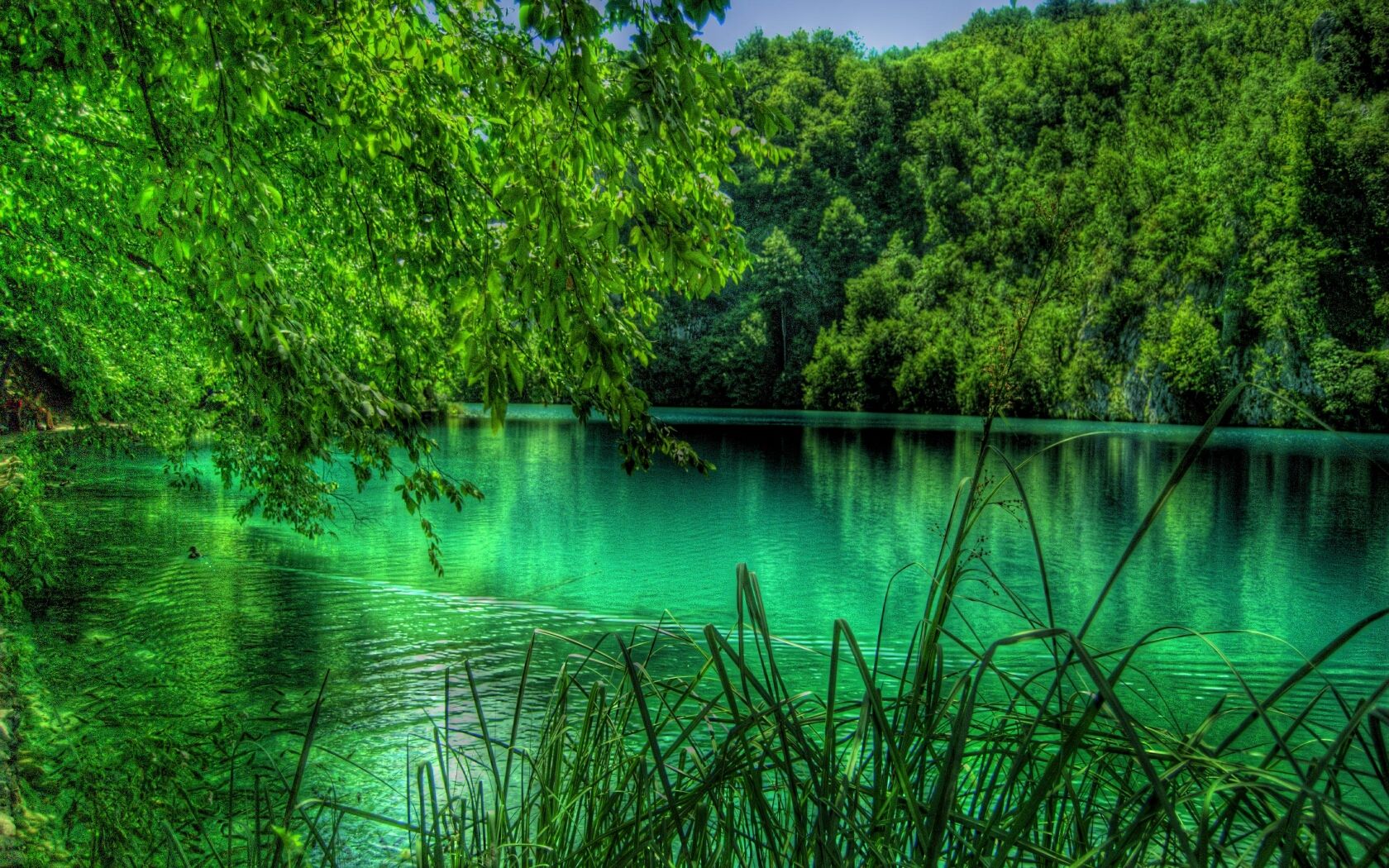 Descarga gratis la imagen Lago, Tierra/naturaleza, Lago De Plitvice en el escritorio de tu PC