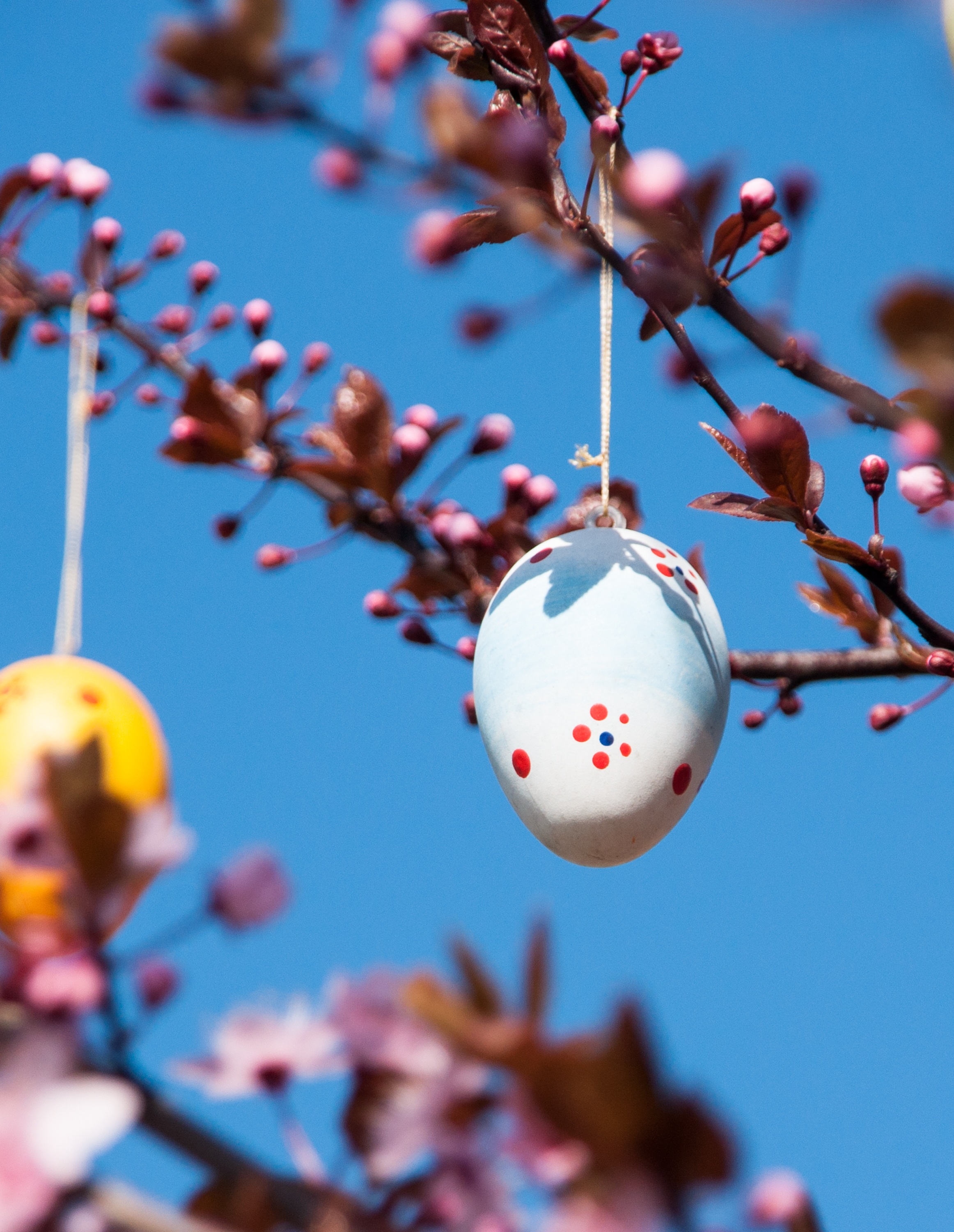 holiday, holidays, easter, branches, decoration, spring, egg HD wallpaper