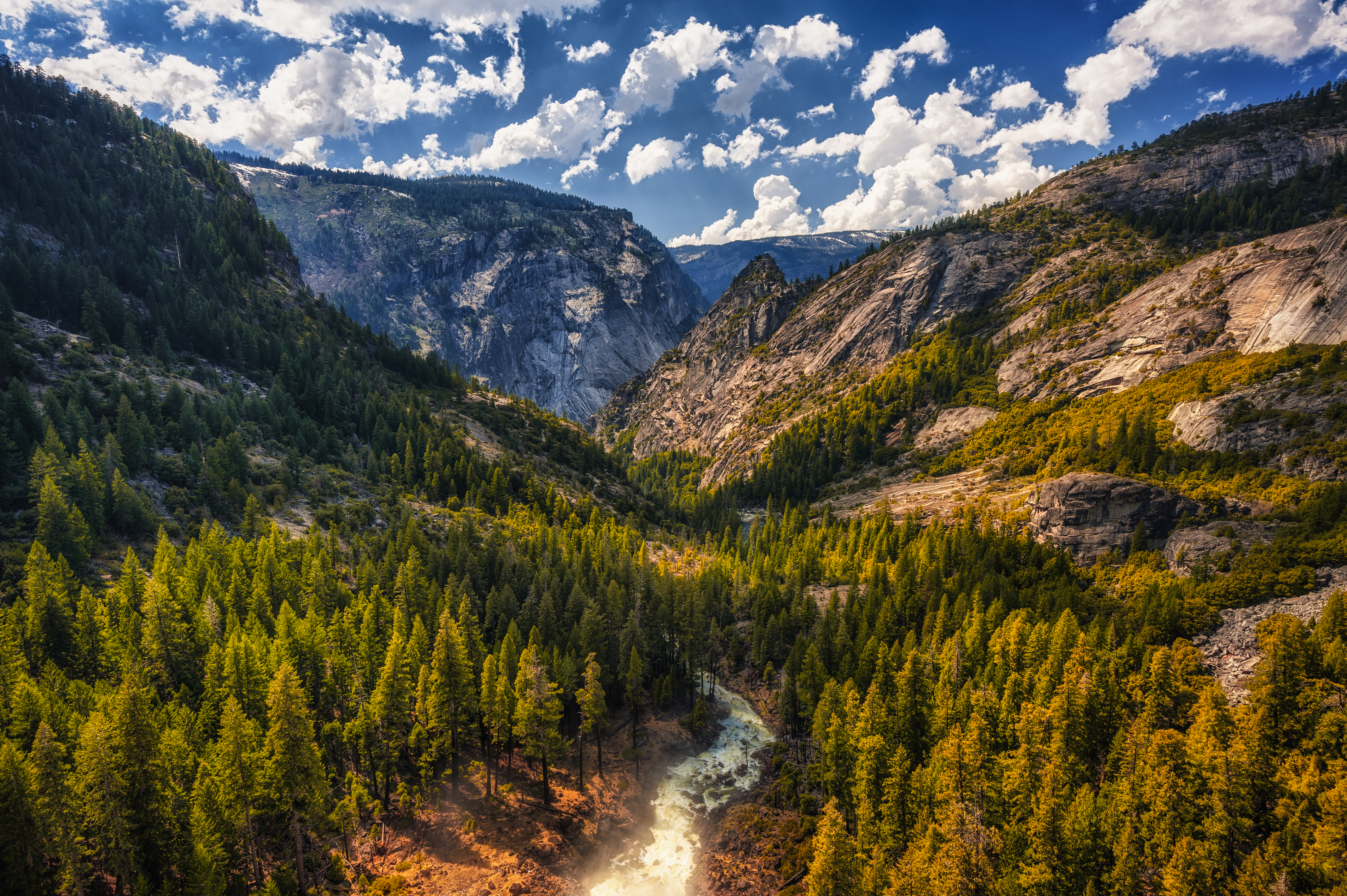 Descarga gratis la imagen Rio, Montaña, Bosque, Árbol, Tierra/naturaleza en el escritorio de tu PC