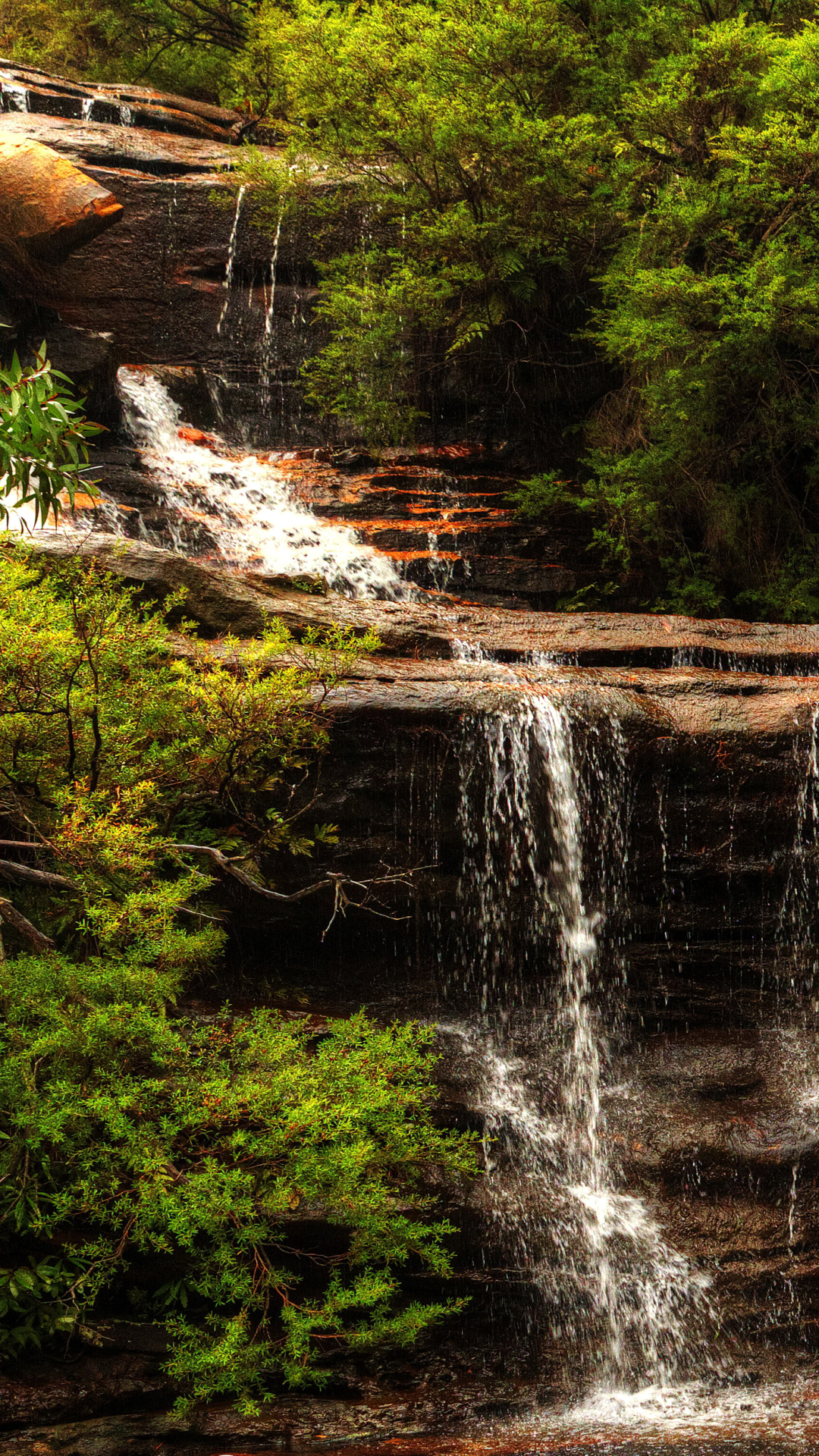 Handy-Wallpaper Natur, Wasserfälle, Wasserfall, Australien, Erde/natur, Wentworth Falls kostenlos herunterladen.