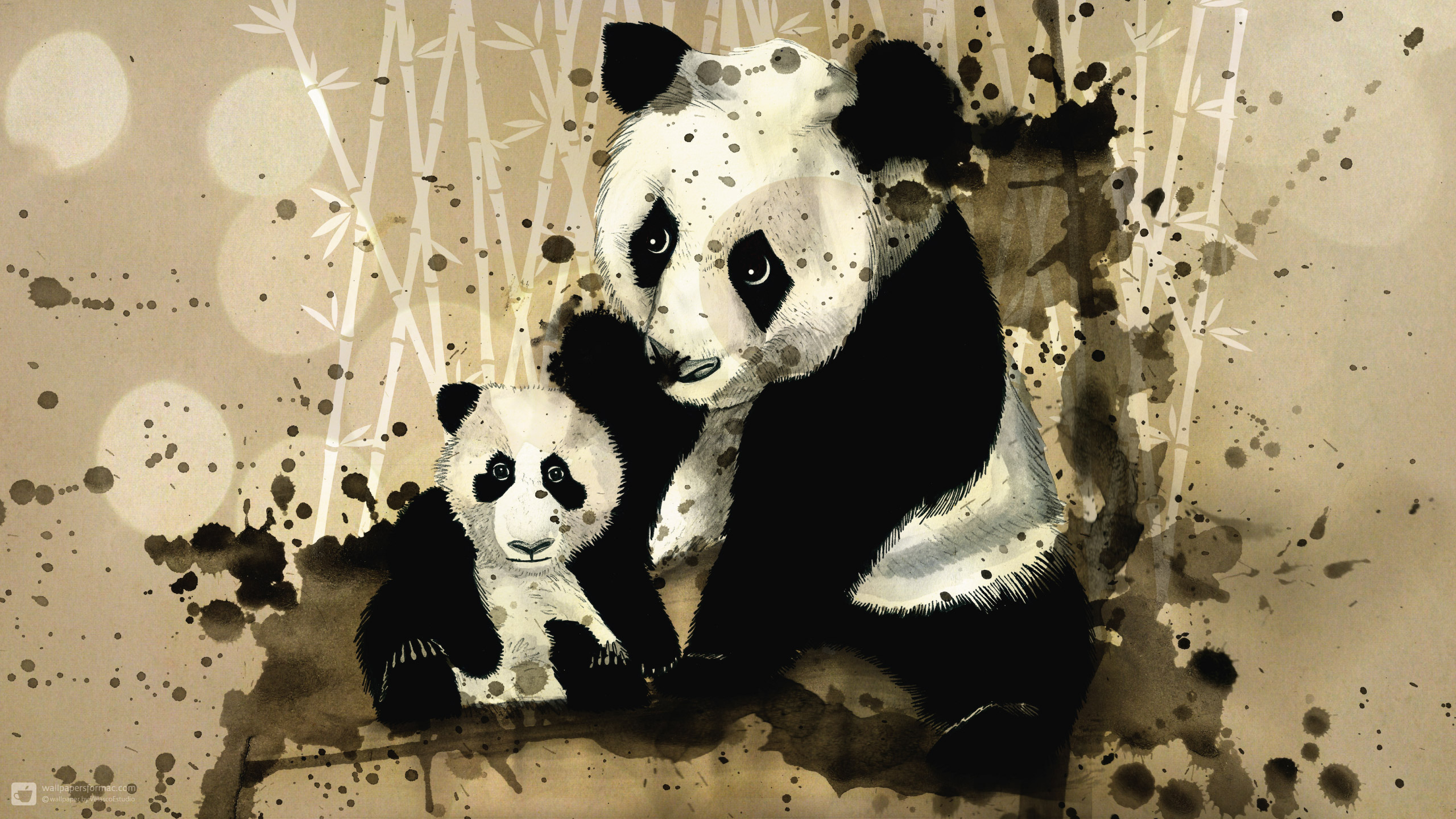 Скачать обои бесплатно Животные, Панда картинка на рабочий стол ПК