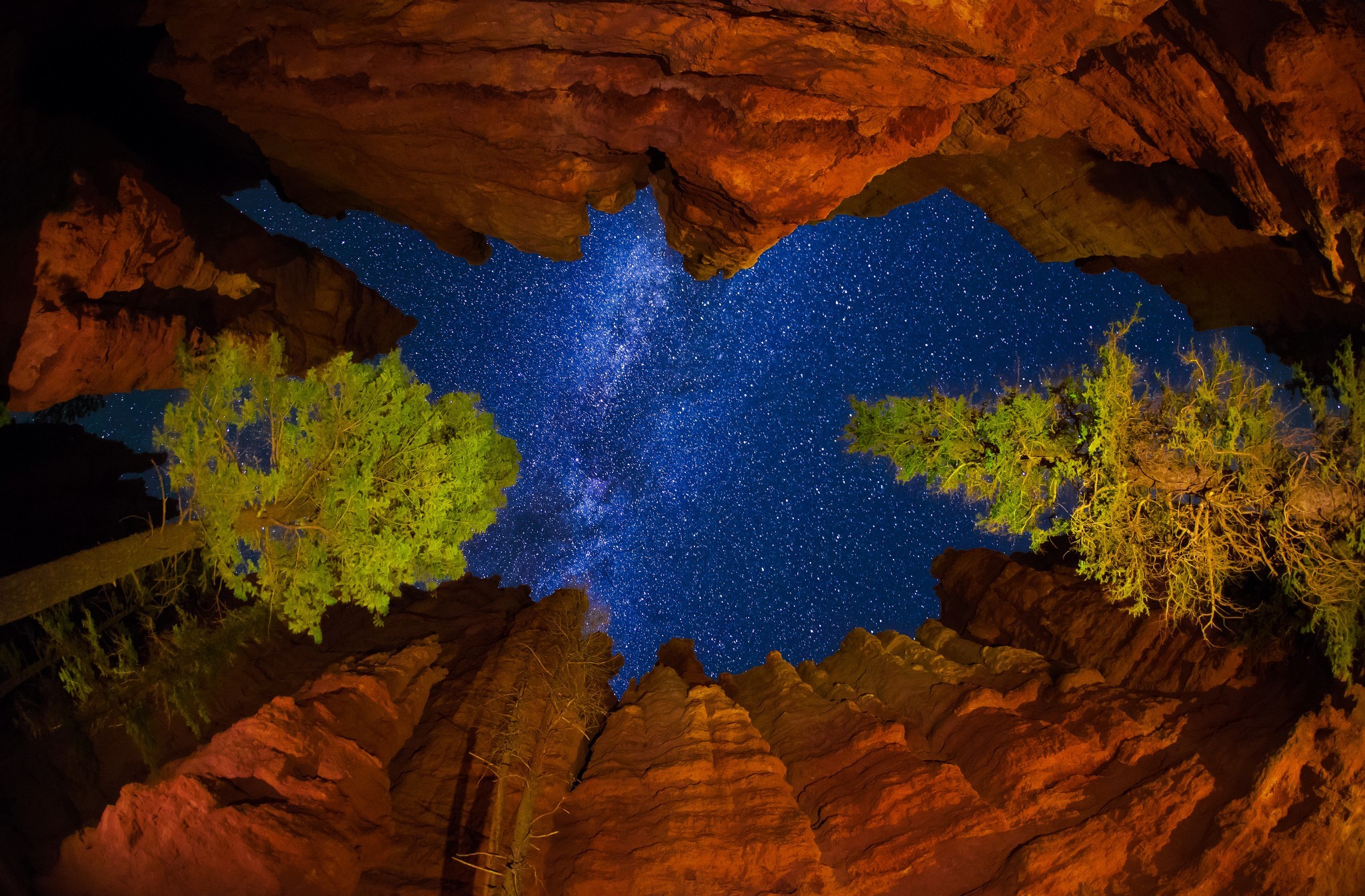 Free download wallpaper Stars, Canyon, Tree, Earth, Milky Way, Canyons on your PC desktop