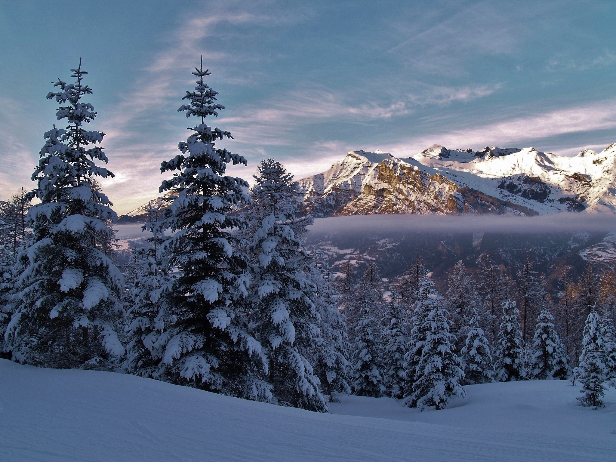 Descarga gratis la imagen Invierno, Naturaleza, Montaña, Bosque, Árbol, Niebla, Tierra/naturaleza en el escritorio de tu PC