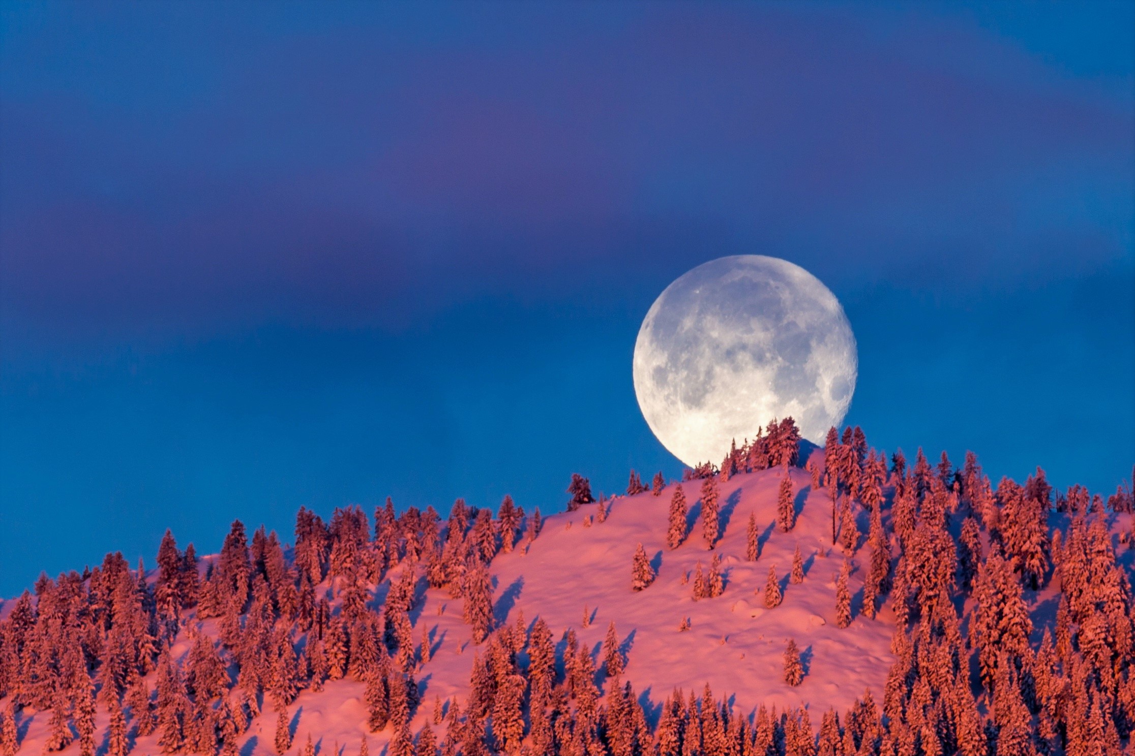 Download mobile wallpaper Winter, Moon, Snow, Mountain, Forest, Earth for free.