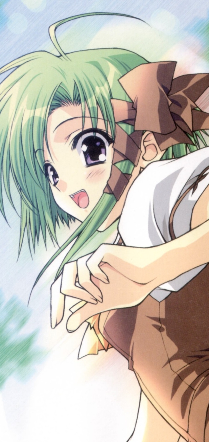 Download mobile wallpaper Anime, Shuffle!, Asa Shigure for free.