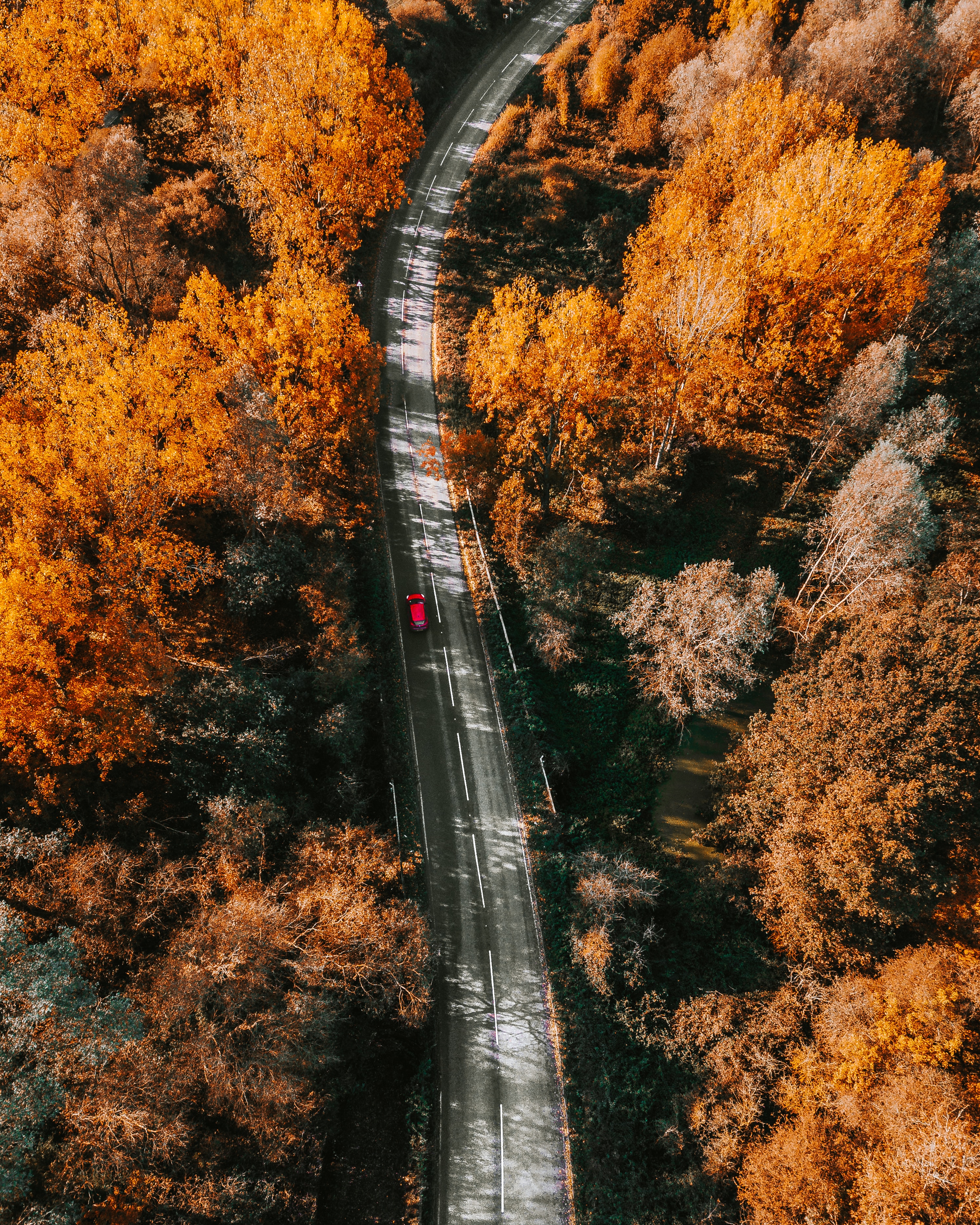 Download mobile wallpaper Autumn, Nature, Trees, Road, View From Above for free.
