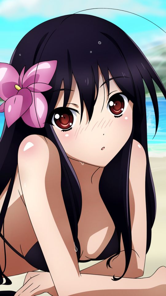 Download mobile wallpaper Anime, Bikini, Kuroyukihime (Accel World), Accel World for free.