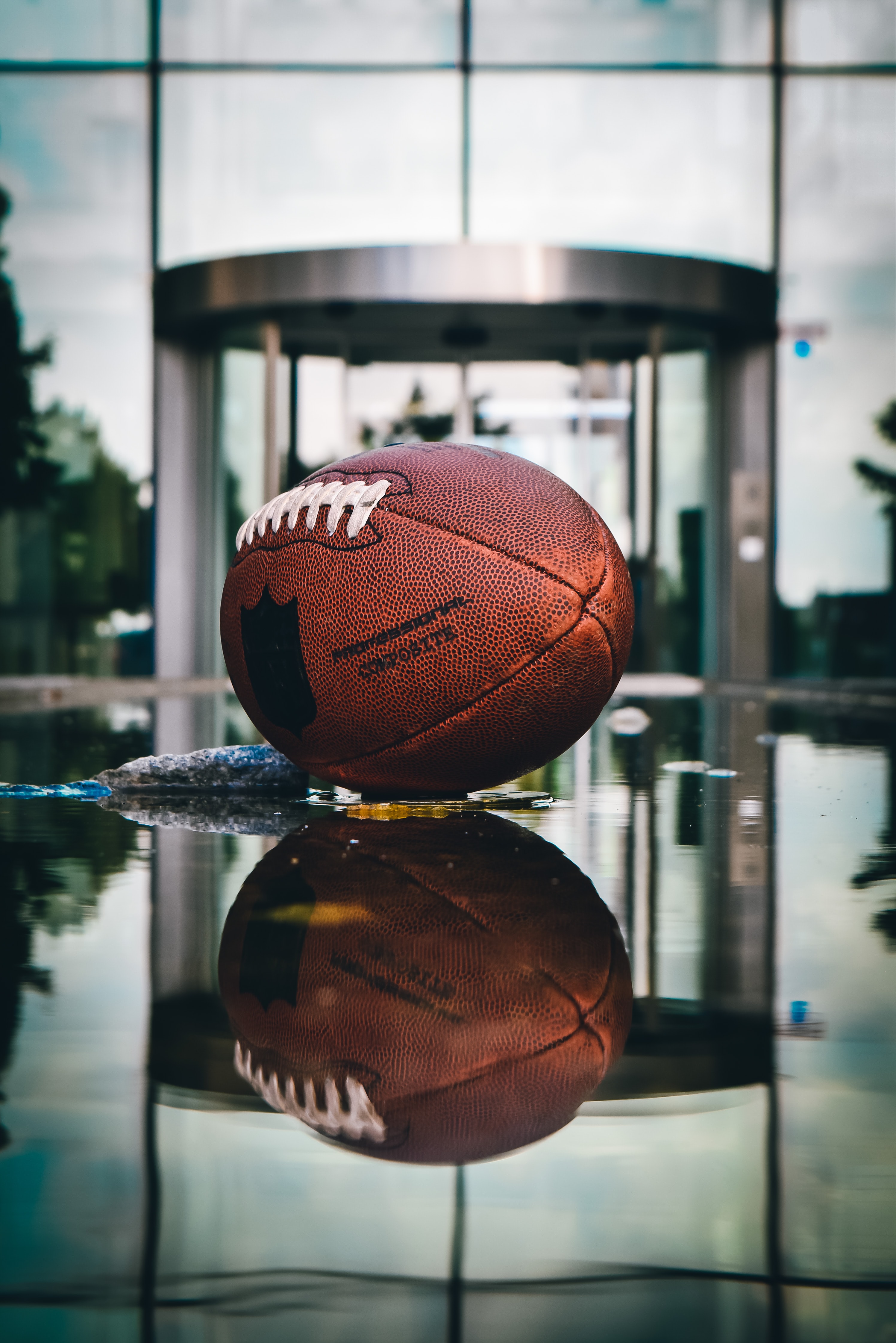 rugby, sports, reflection, miscellanea, miscellaneous, ball