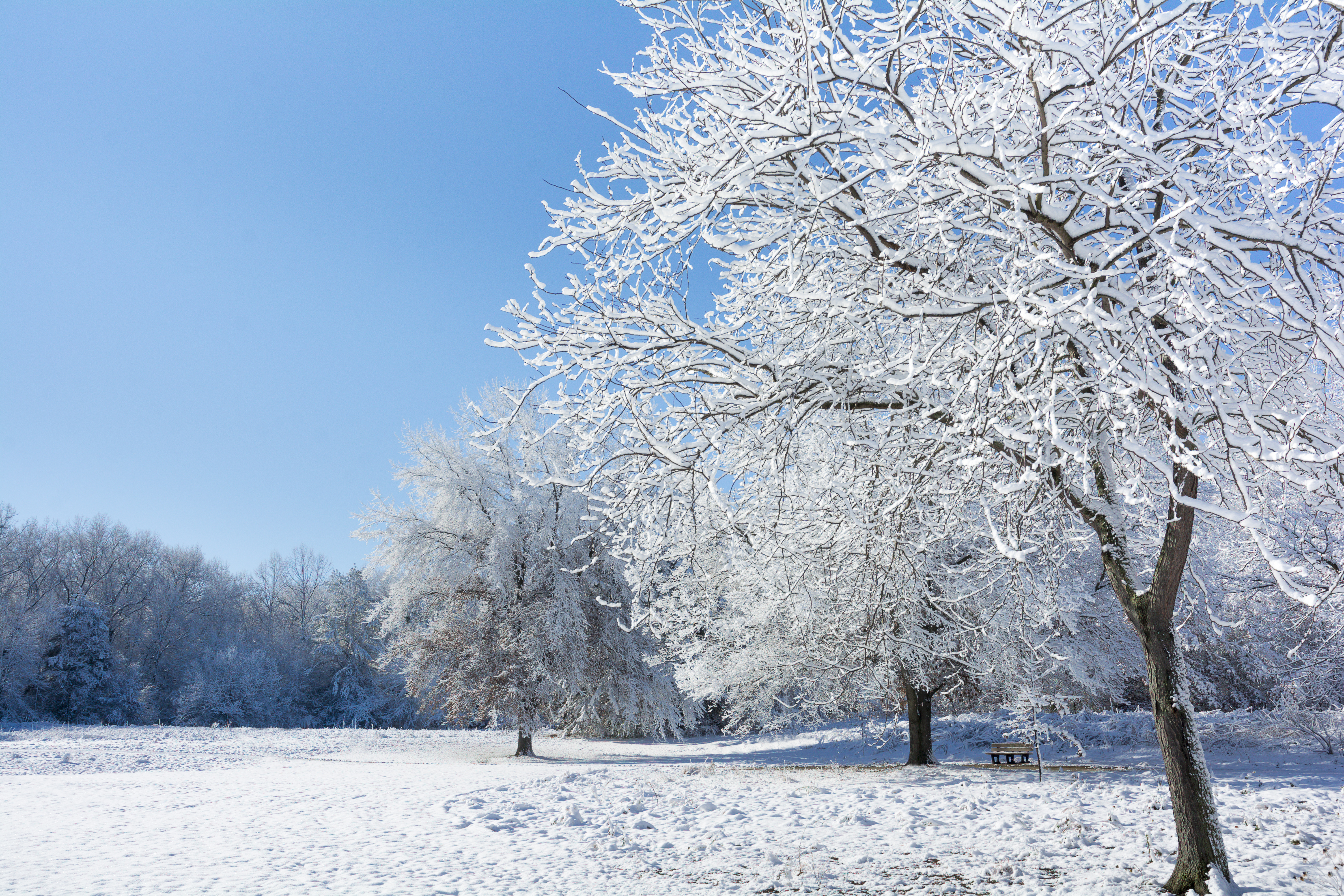 Baixe gratuitamente a imagem Inverno, Terra/natureza na área de trabalho do seu PC