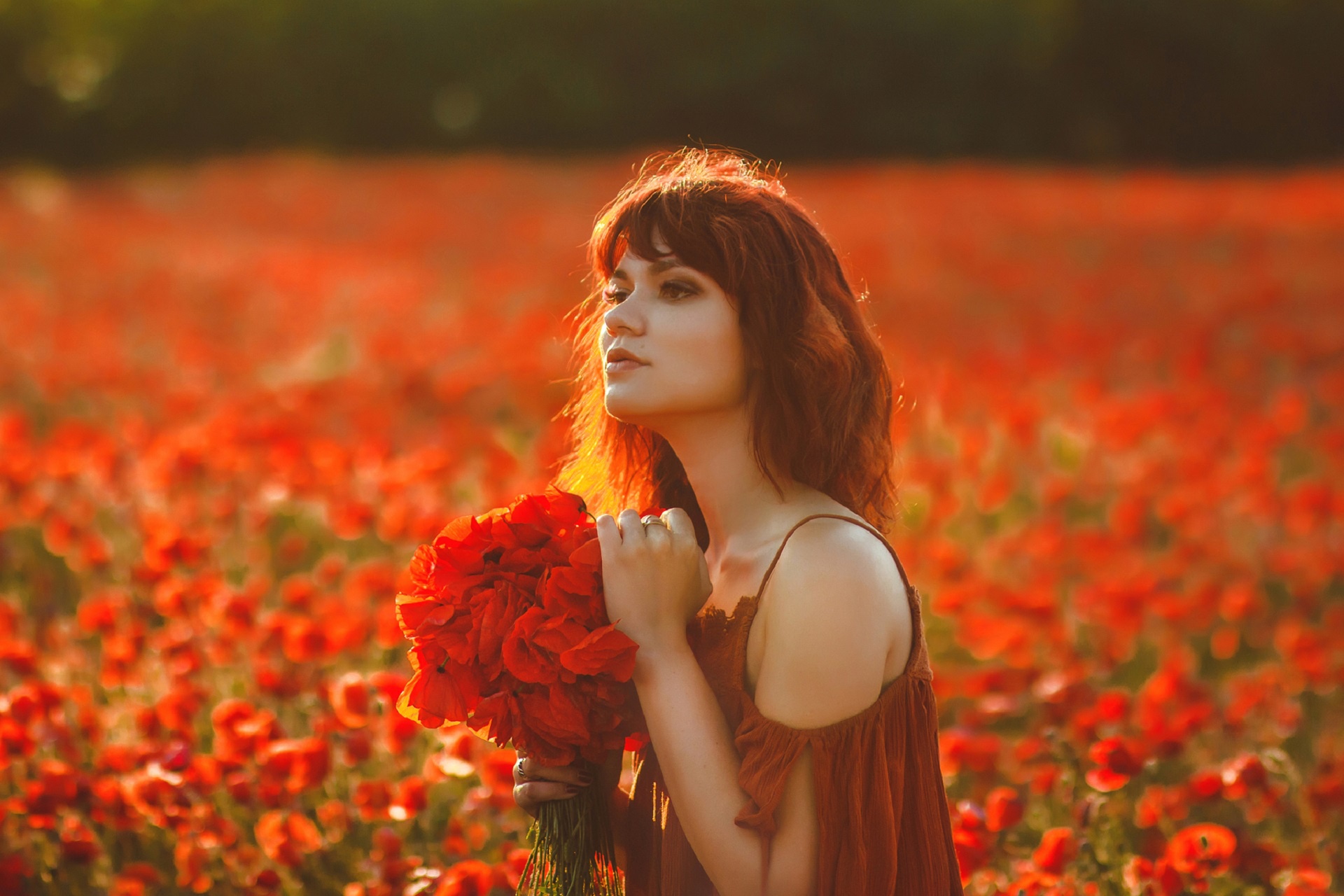 Descarga gratuita de fondo de pantalla para móvil de Verano, Pelirrojo, Amapola, Modelo, Mujeres, Flor Roja, Profundidad De Campo.