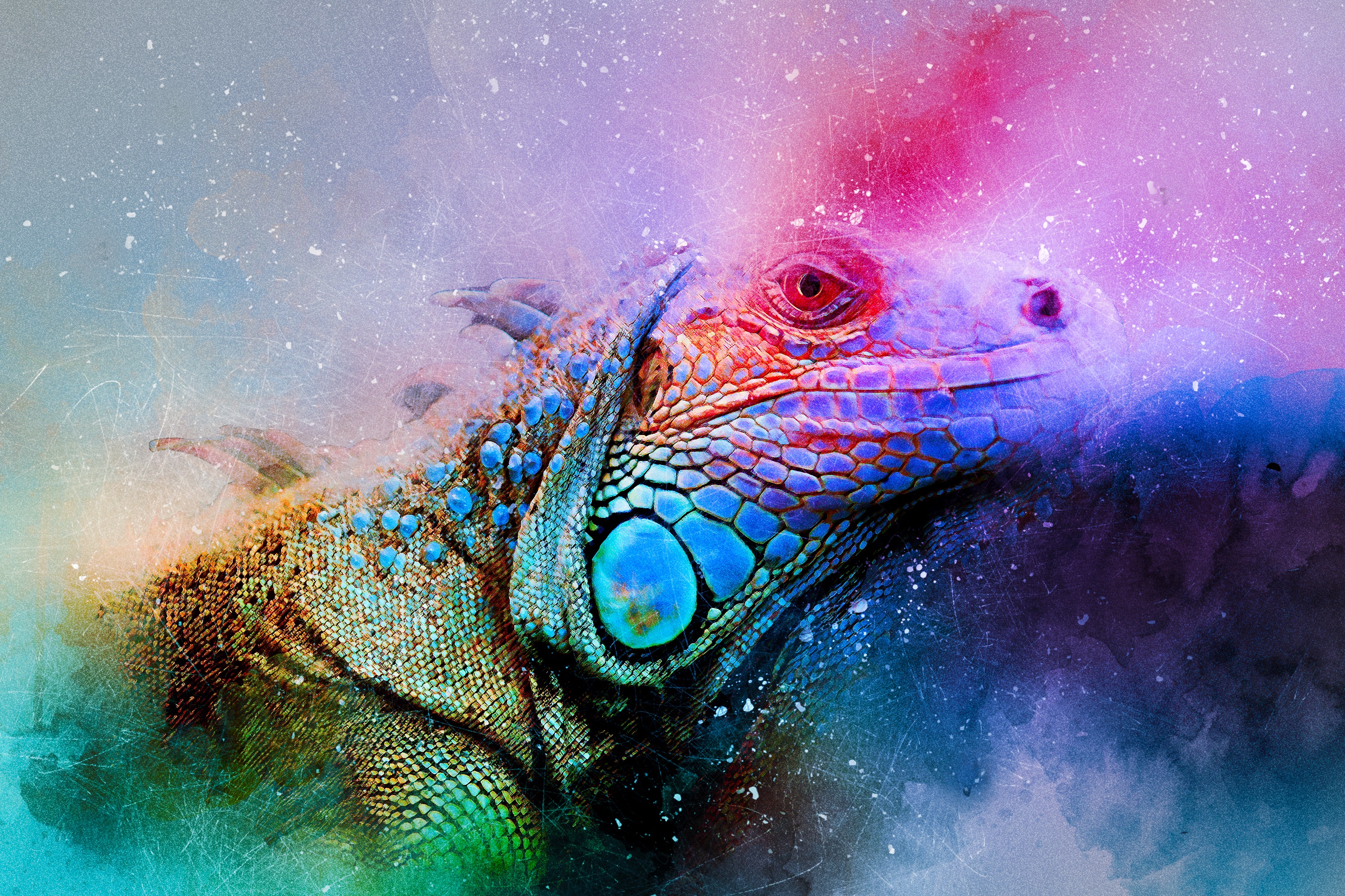 iguana, colourful, abstract, art, reptile, colorful