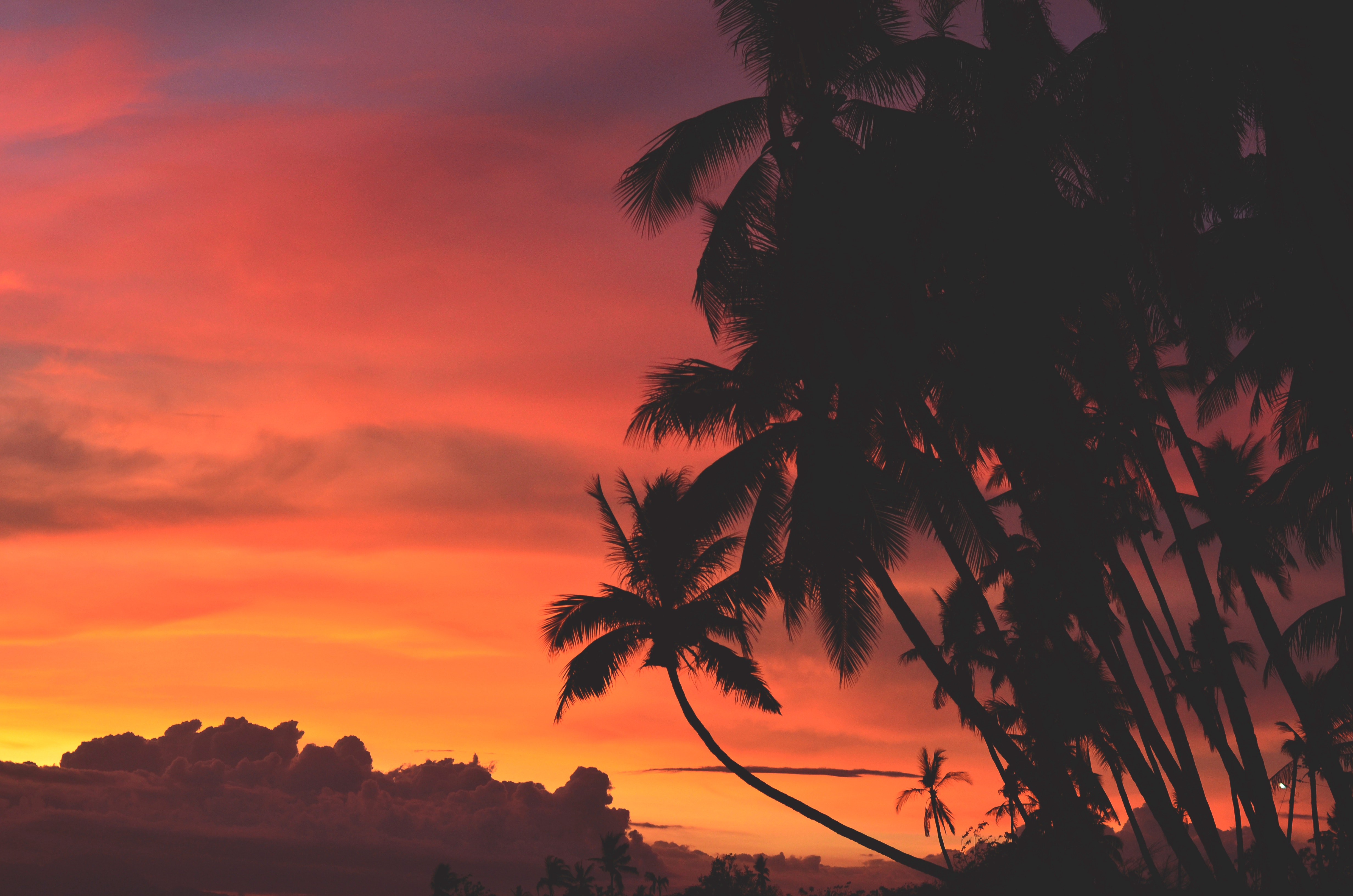 Descarga gratis la imagen Palms, Nubes, Cielo, Trópico, Naturaleza, Zona Tropical, Puesta Del Sol en el escritorio de tu PC