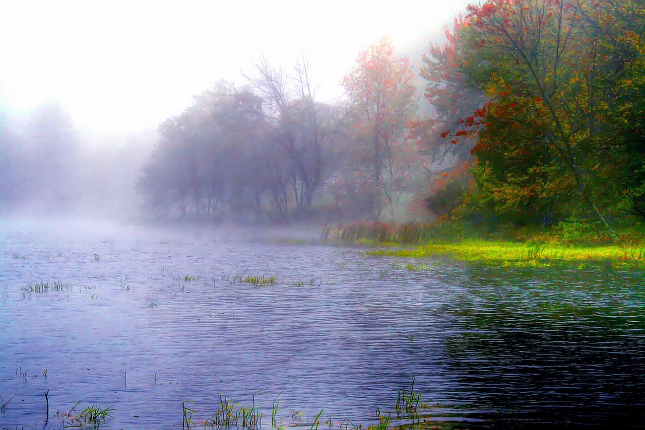 Laden Sie das Szene, Erde/natur-Bild kostenlos auf Ihren PC-Desktop herunter