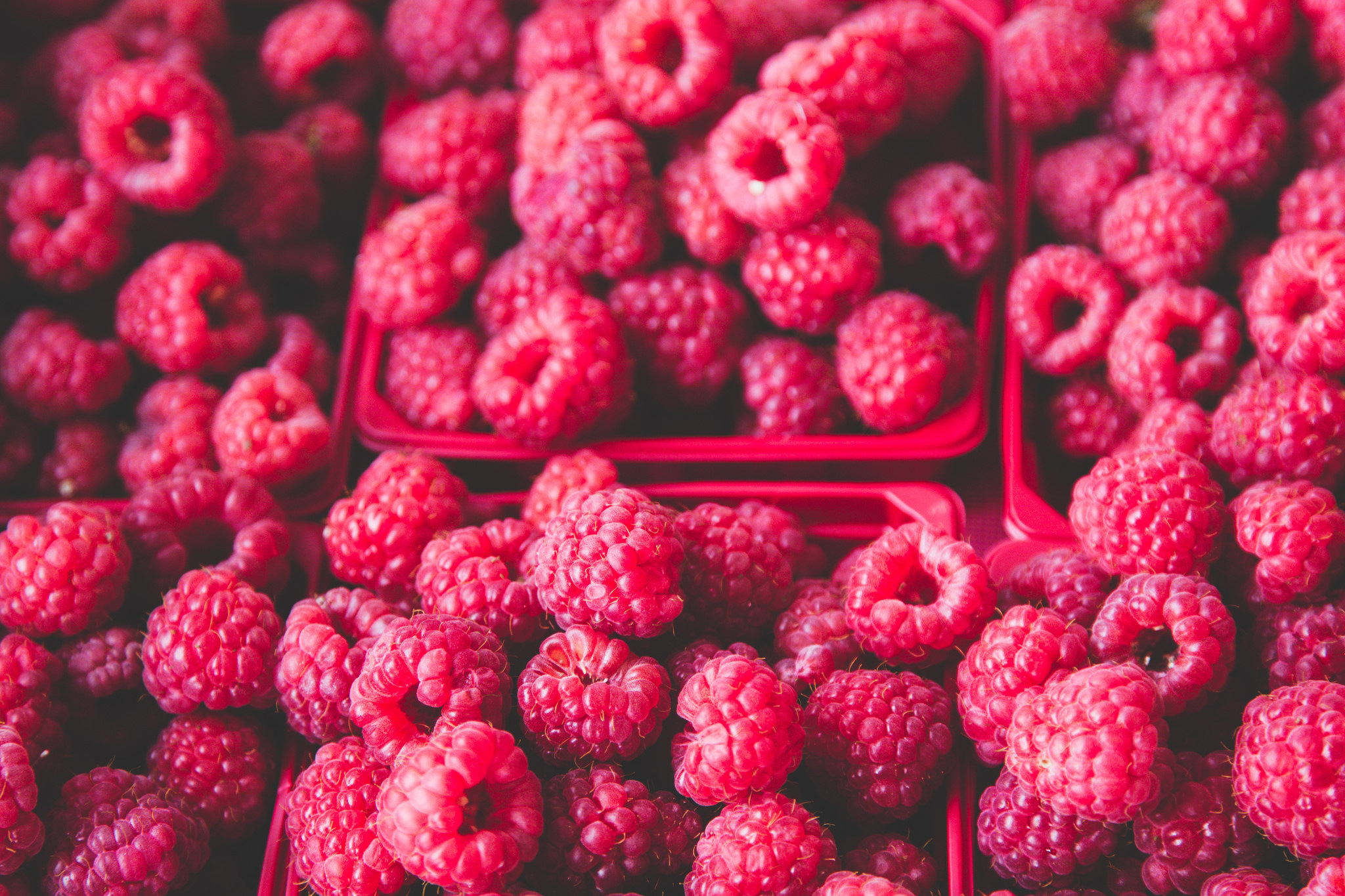 Free download wallpaper Fruits, Food, Raspberry, Berry, Fruit on your PC desktop